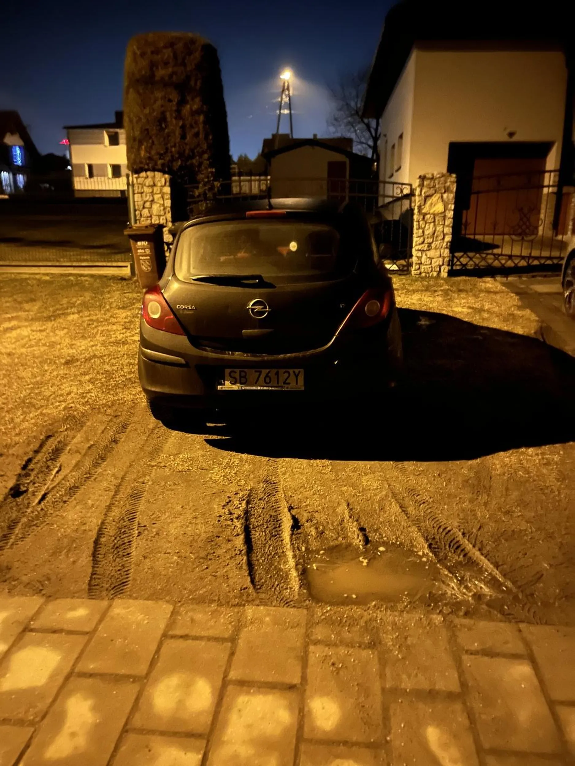 Proszę nie parkować tam auta gdyż niszczy tą osobą zieleń