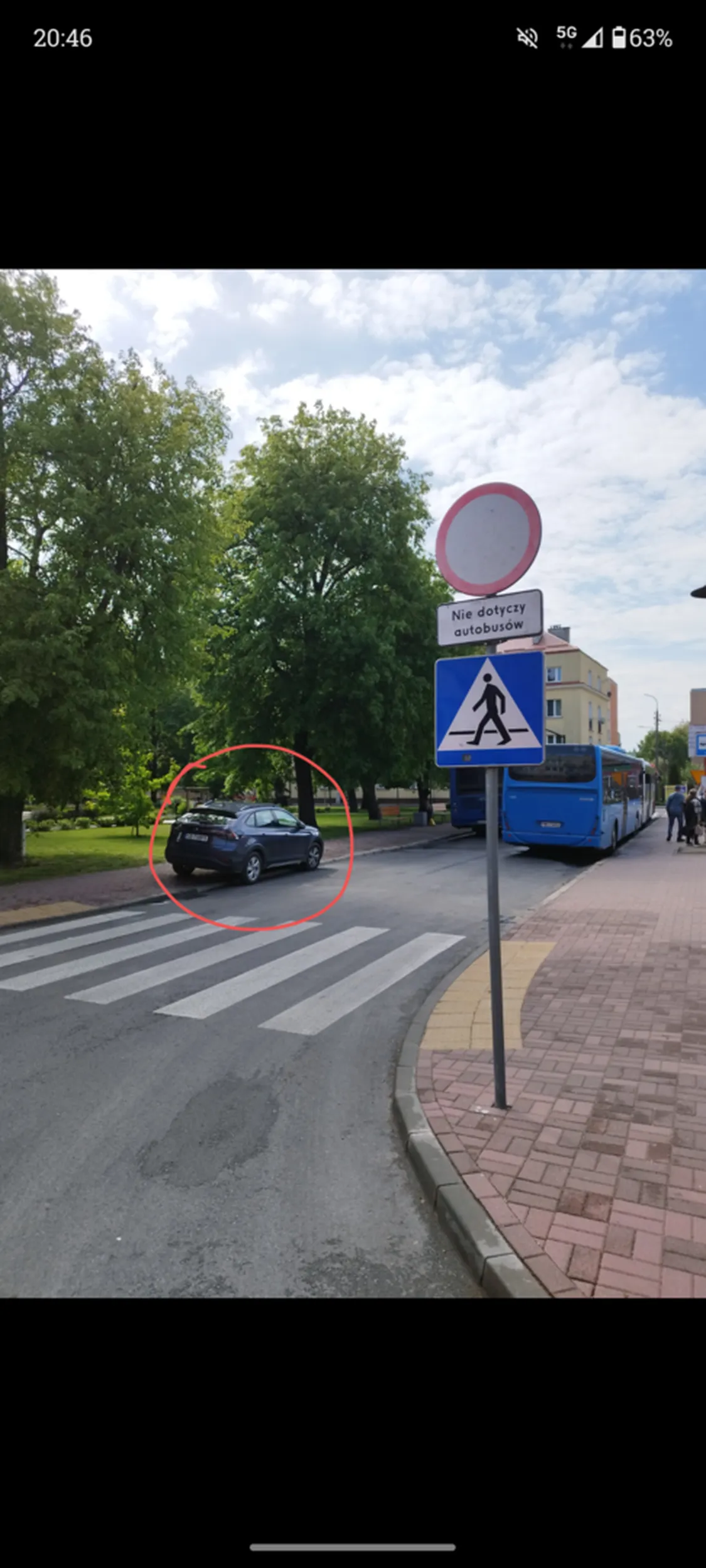 Fajny autobus głąbie