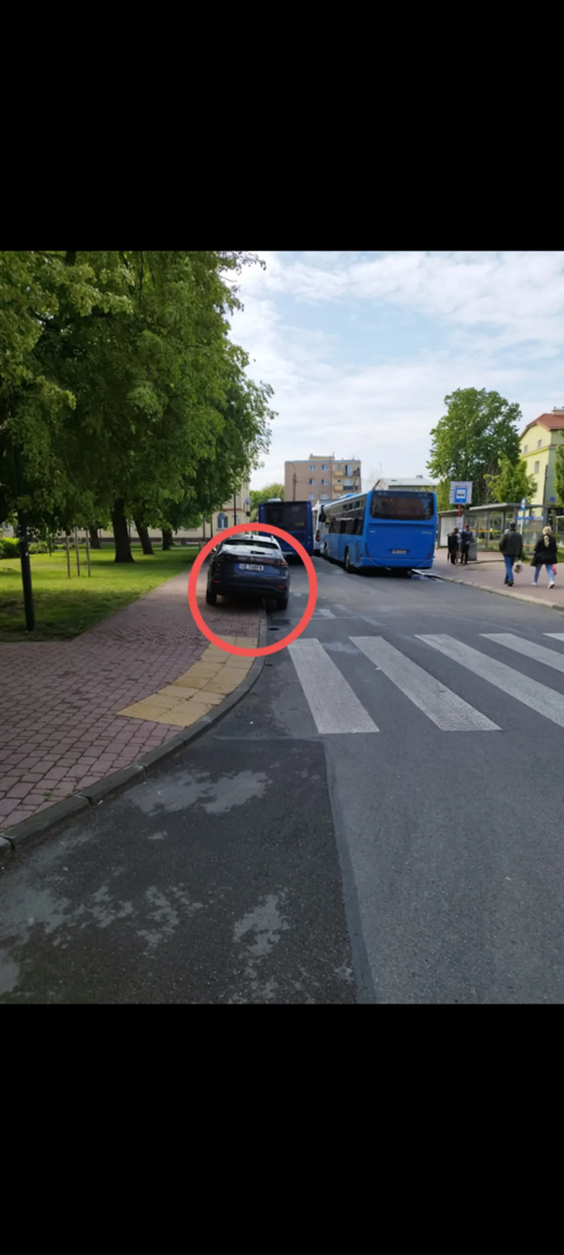 Fajny autobus głąbie