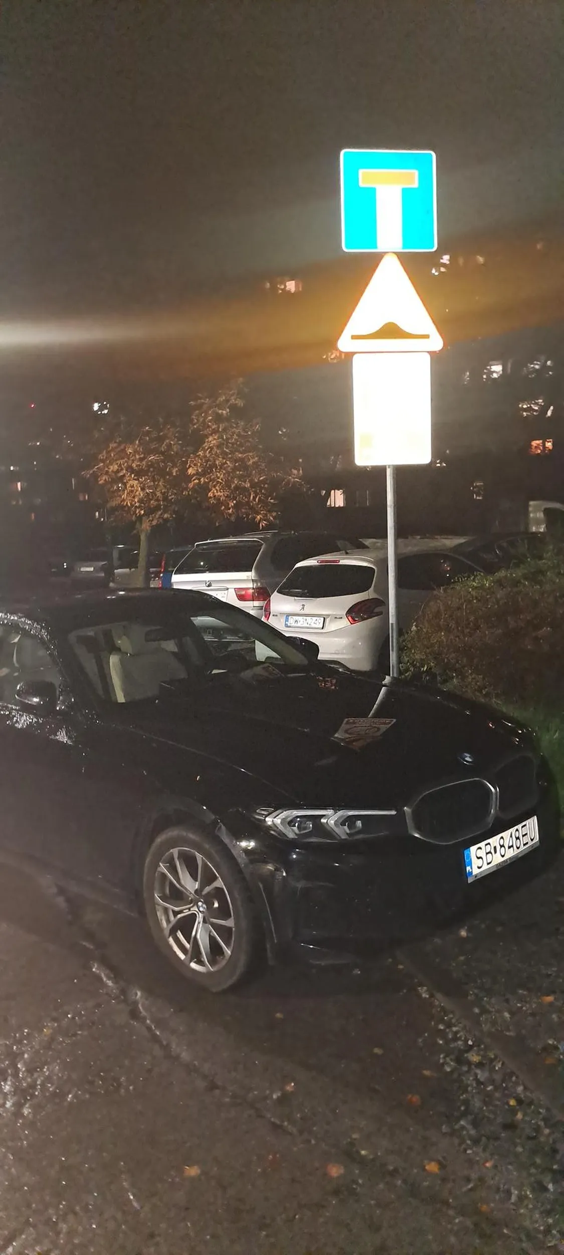 Brawo za inteligencję