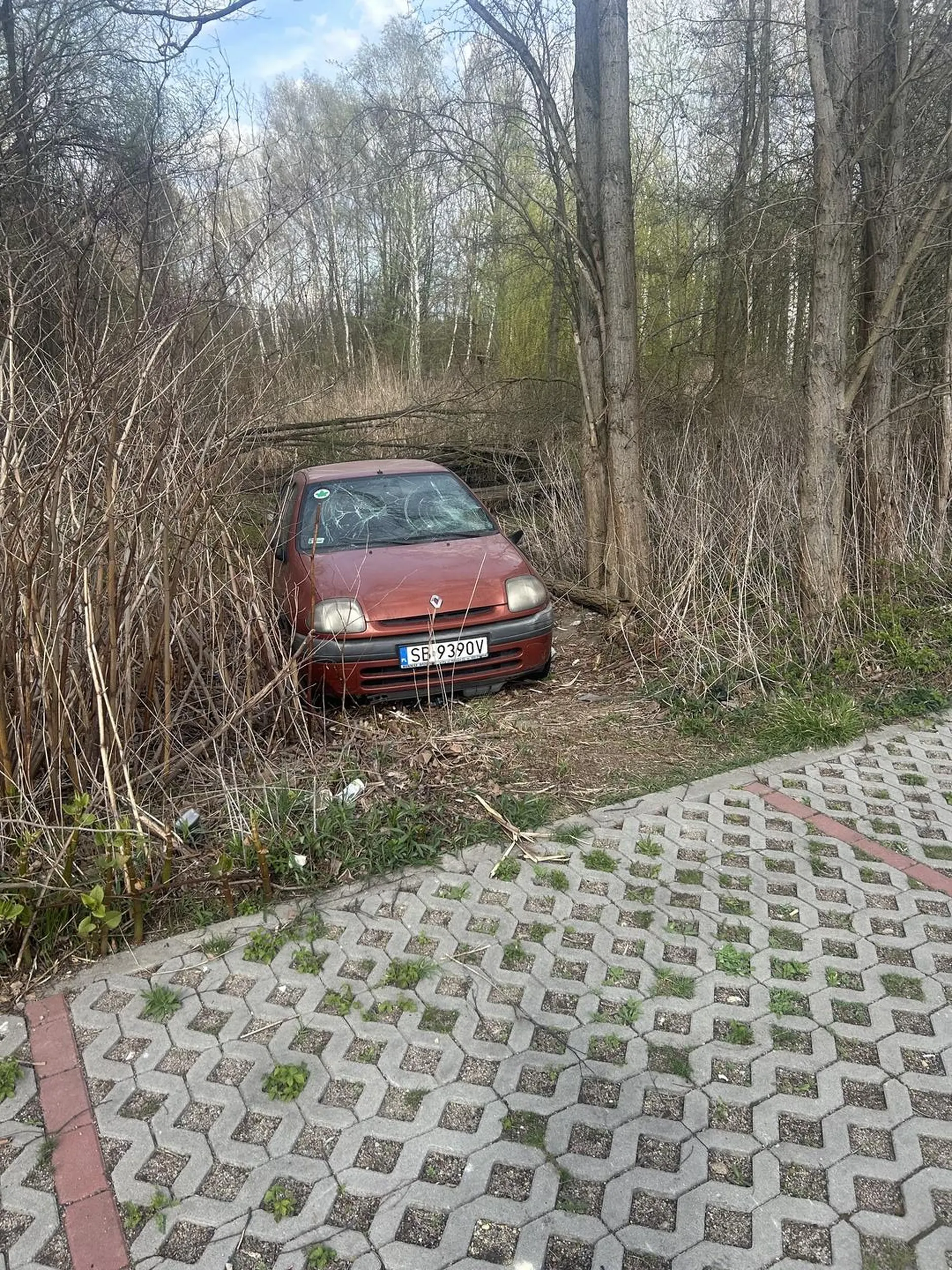 Tutaj nie wolno parkować