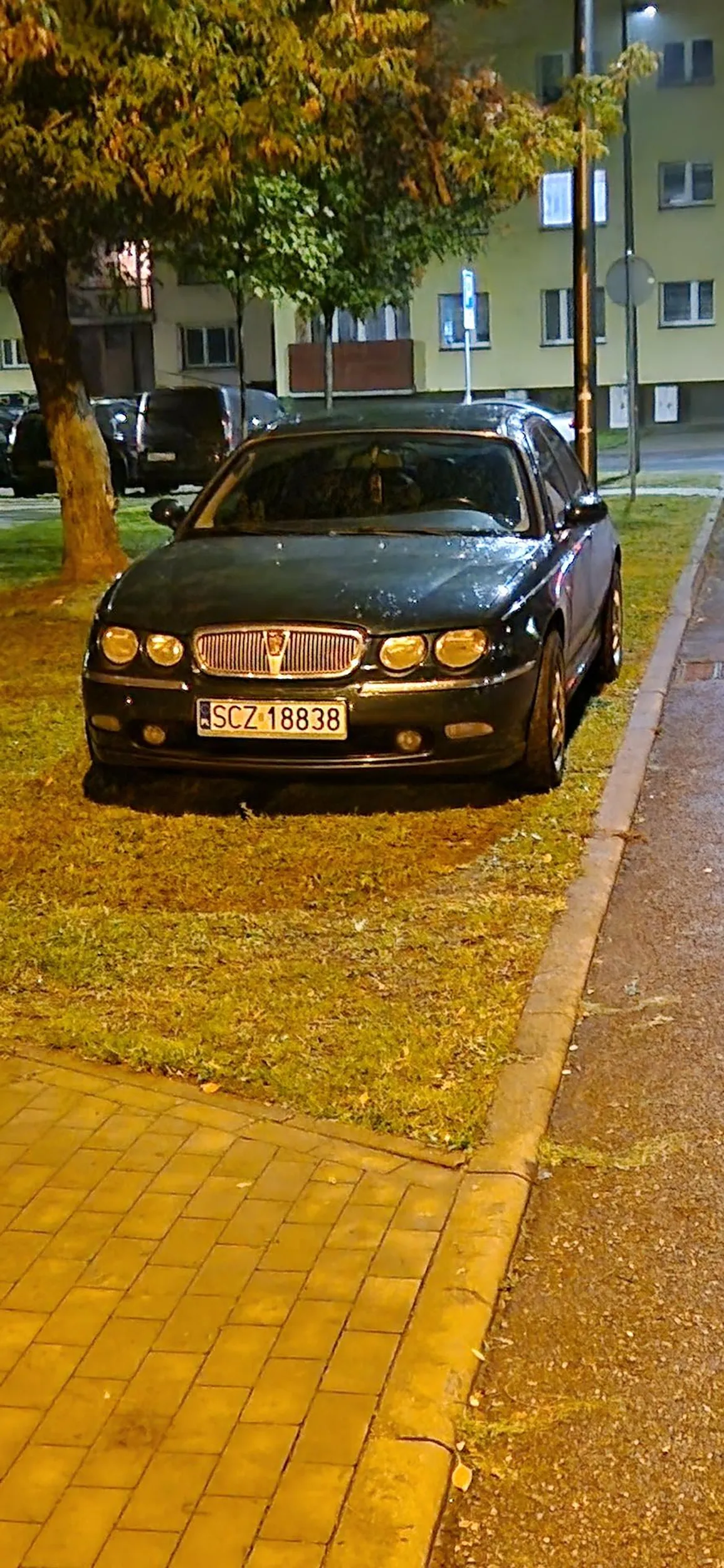 szanuj zieleń chyba żeś jeleń