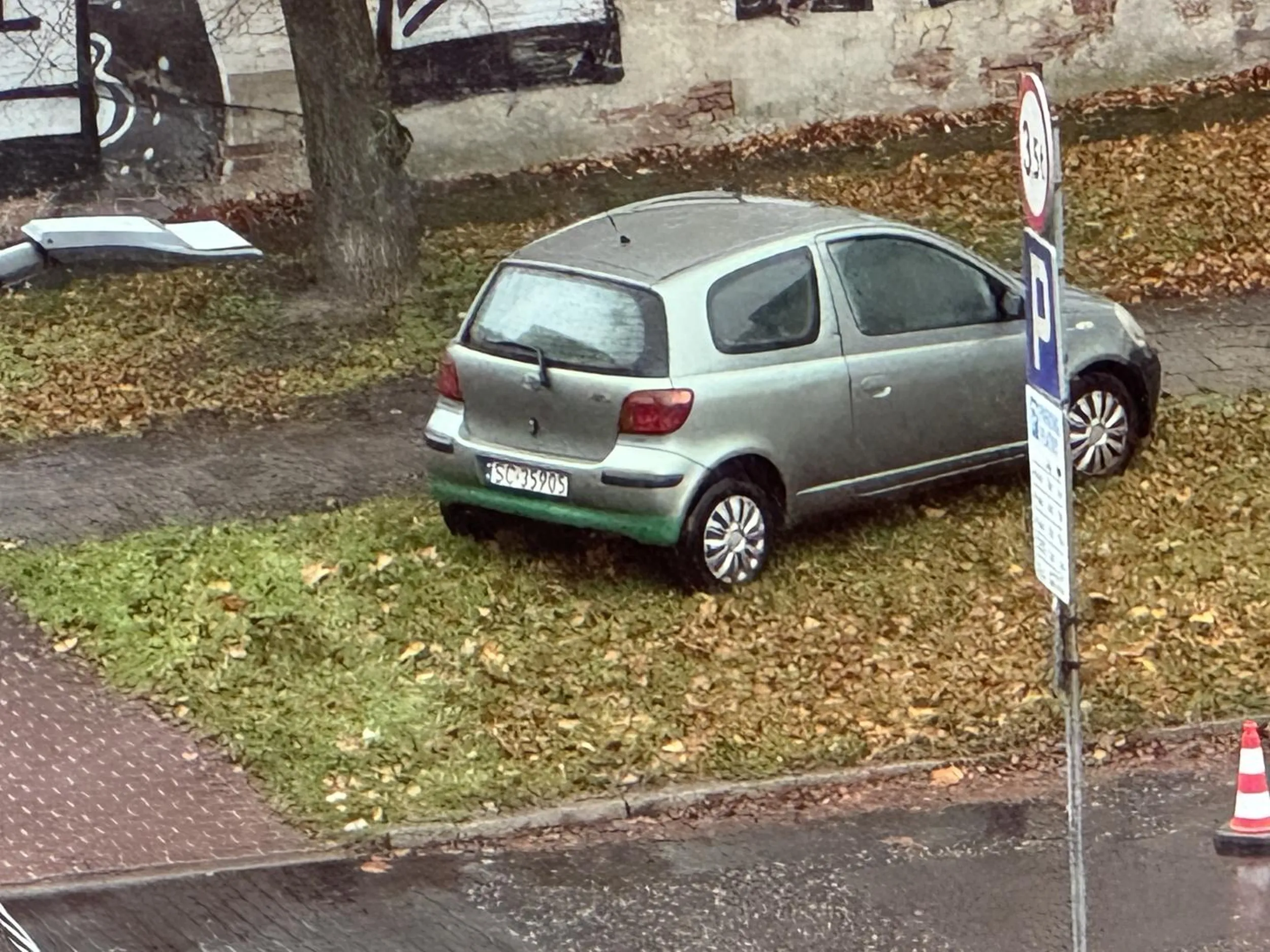 Baran rozjeżdża nagminnie trawnik