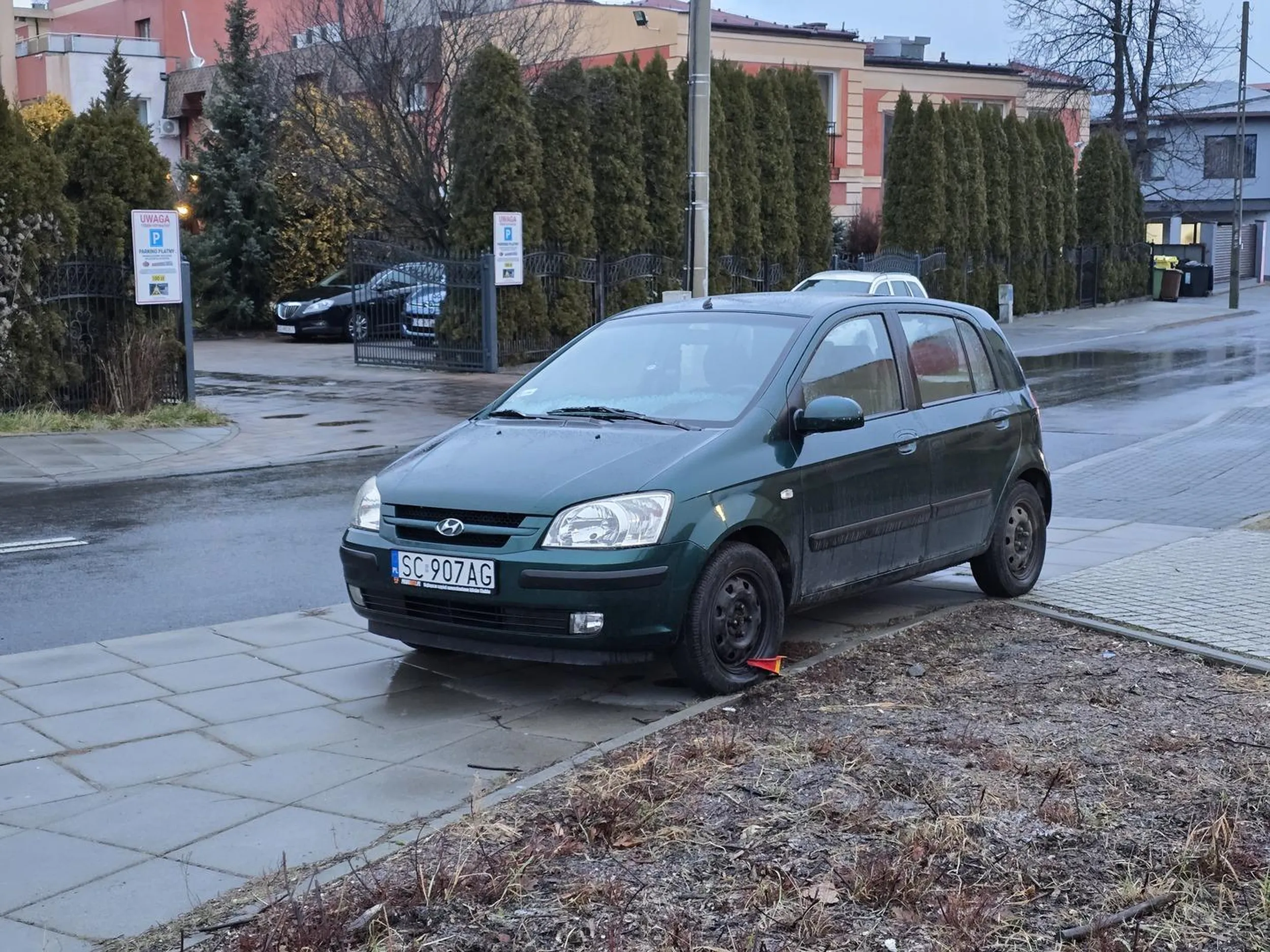 Już się dorobił żółtej obrączki. Brawo dla SM.