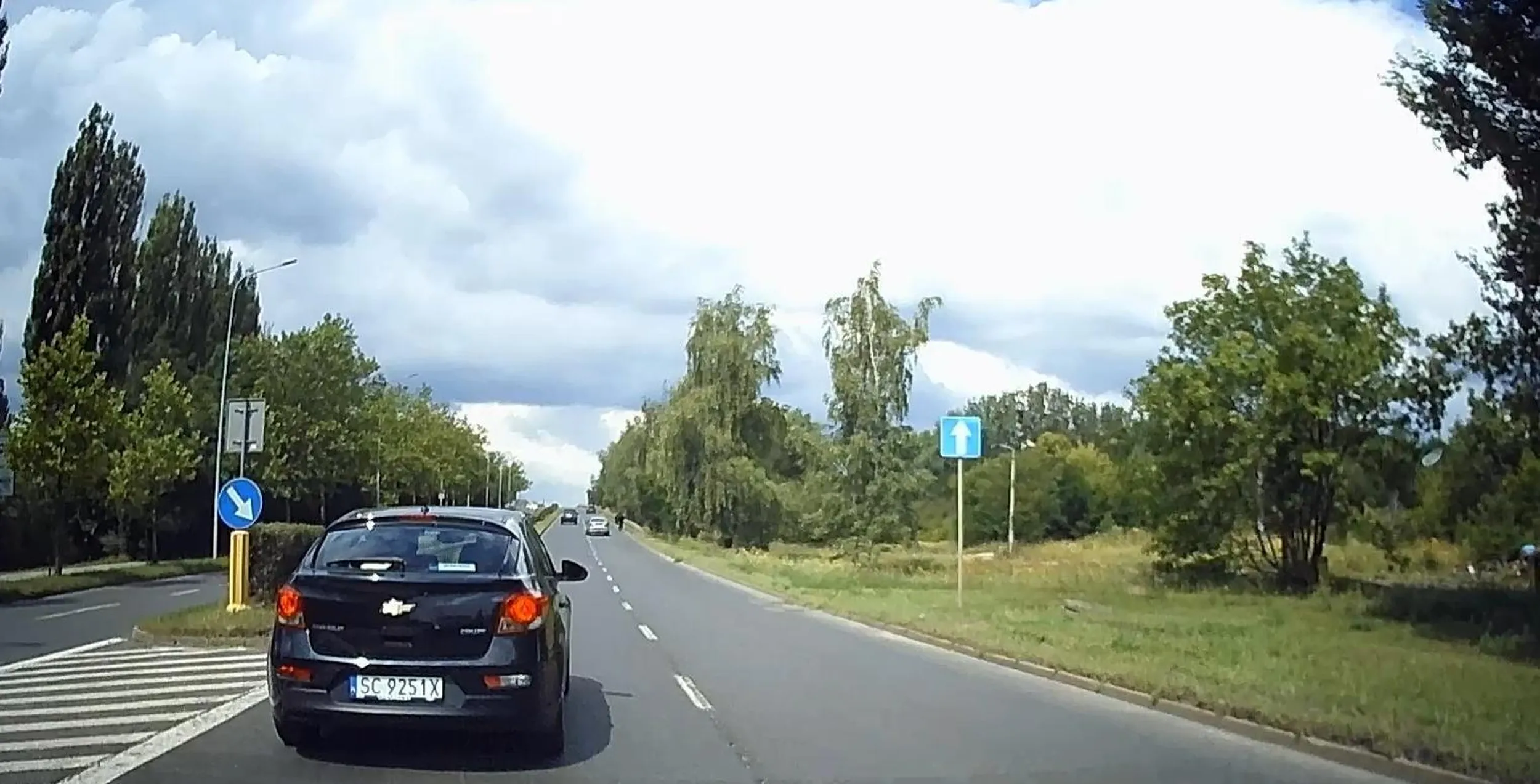 właściciel lewego pasa