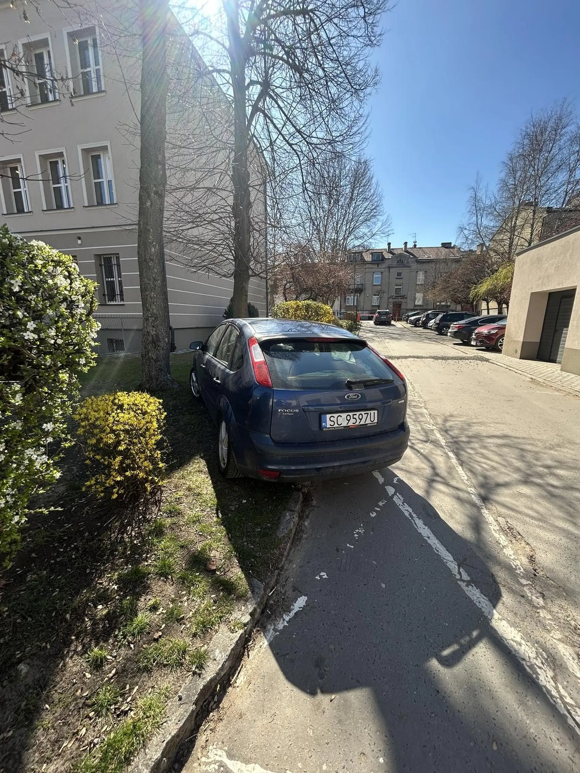 wąsaty myśli że wszystko może a to zwykly pionek