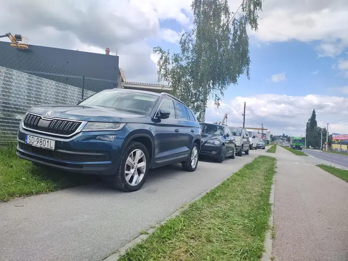 Święta krowa na pół chodnika