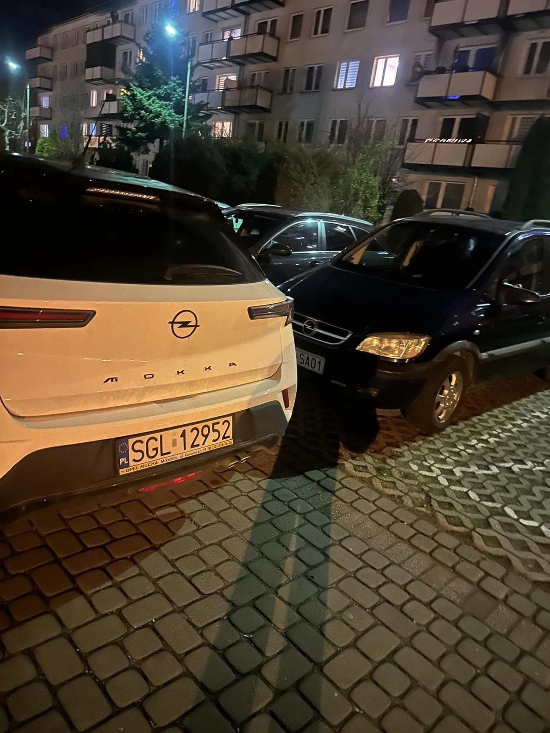 pozdrawiam za brak myślenia wiesz że auto które zastawiłeś nie wyjedzie ?