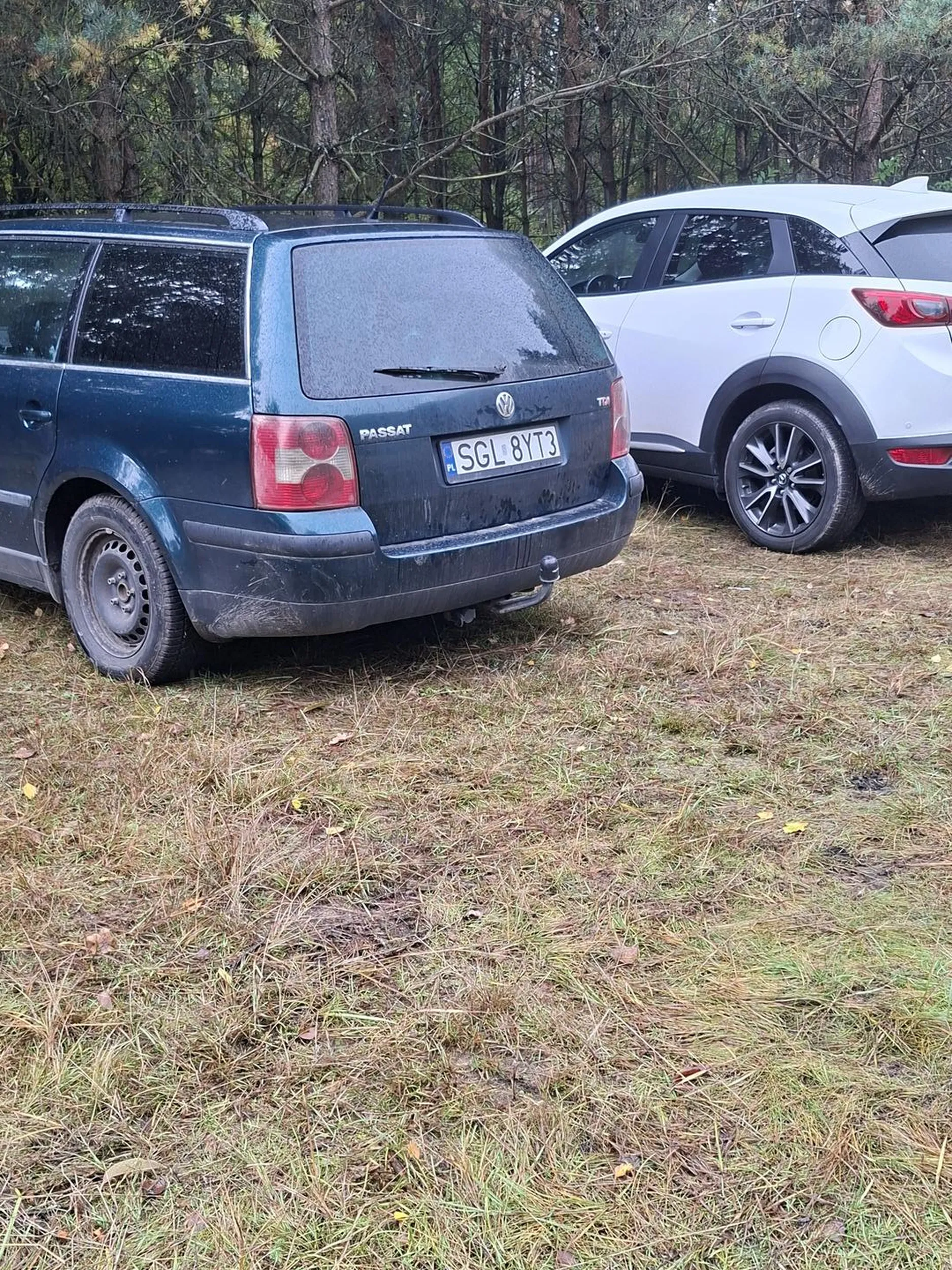 W aucie w lesie kolo Zawadzkiego zostawione dwa psy. W pobliżu auta nie bylo nikogo. Wogole żadnej szyby uchylonej