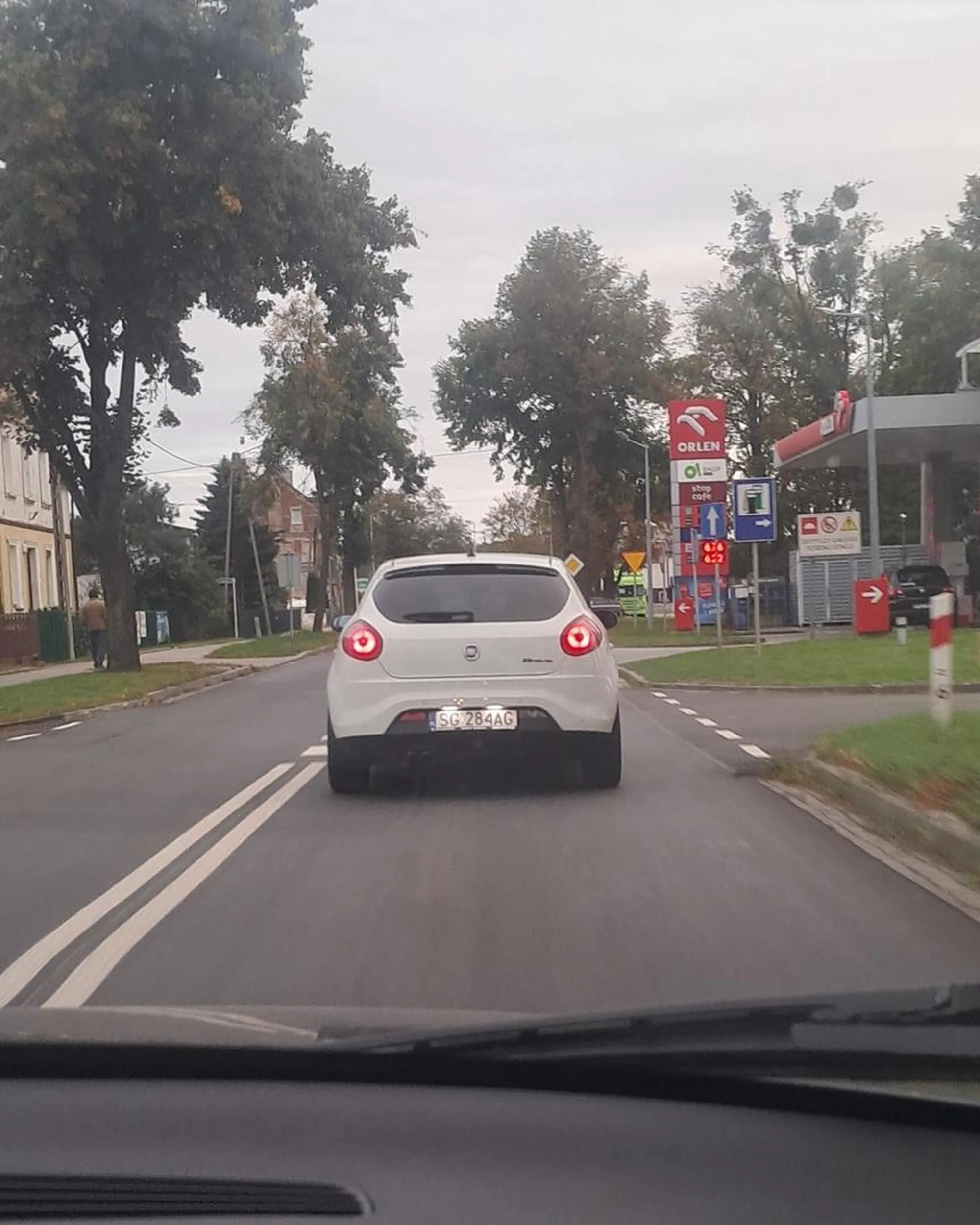 Niedzielny muł ci0ta