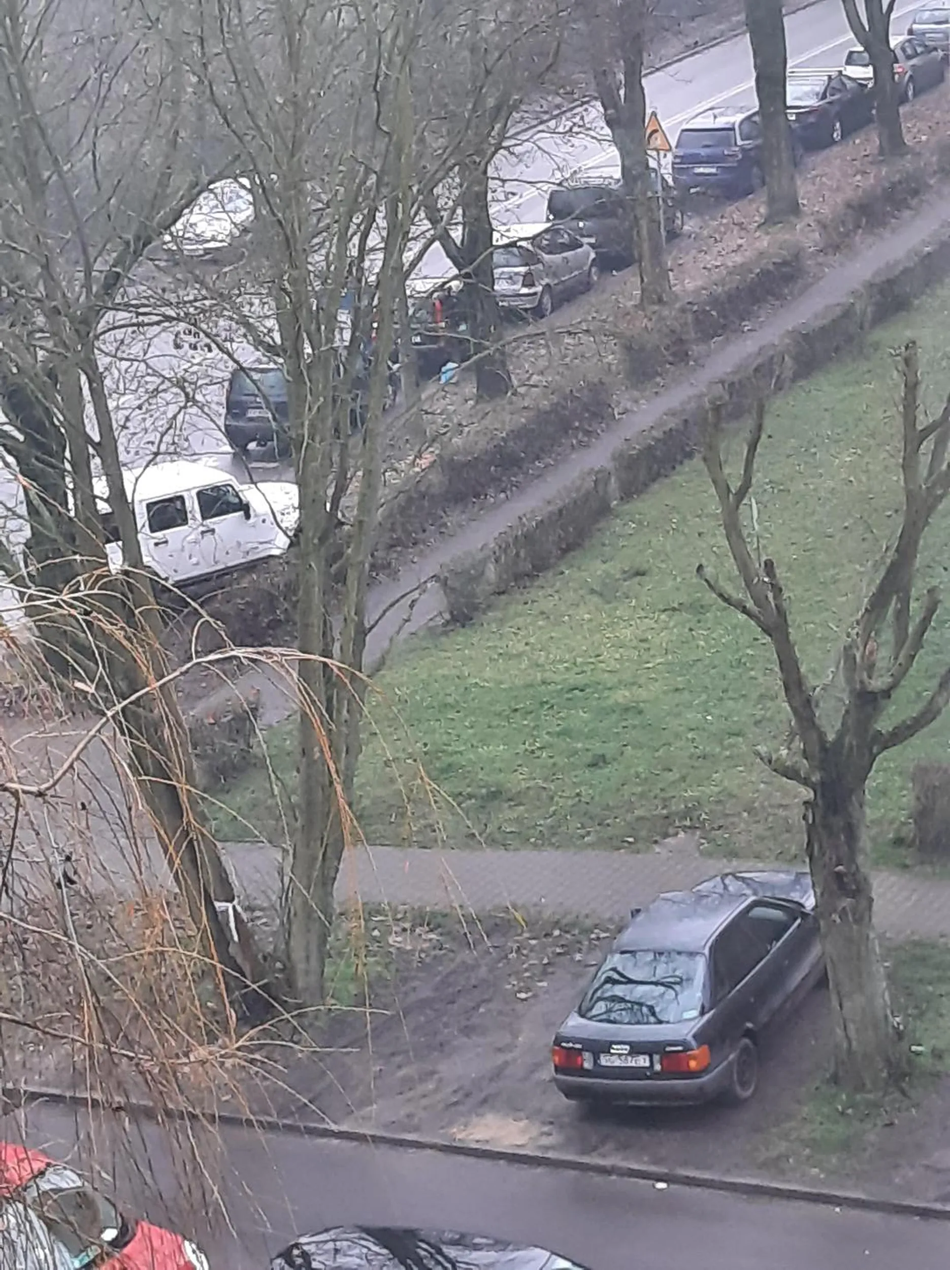 błotofil, niszczy zieleń