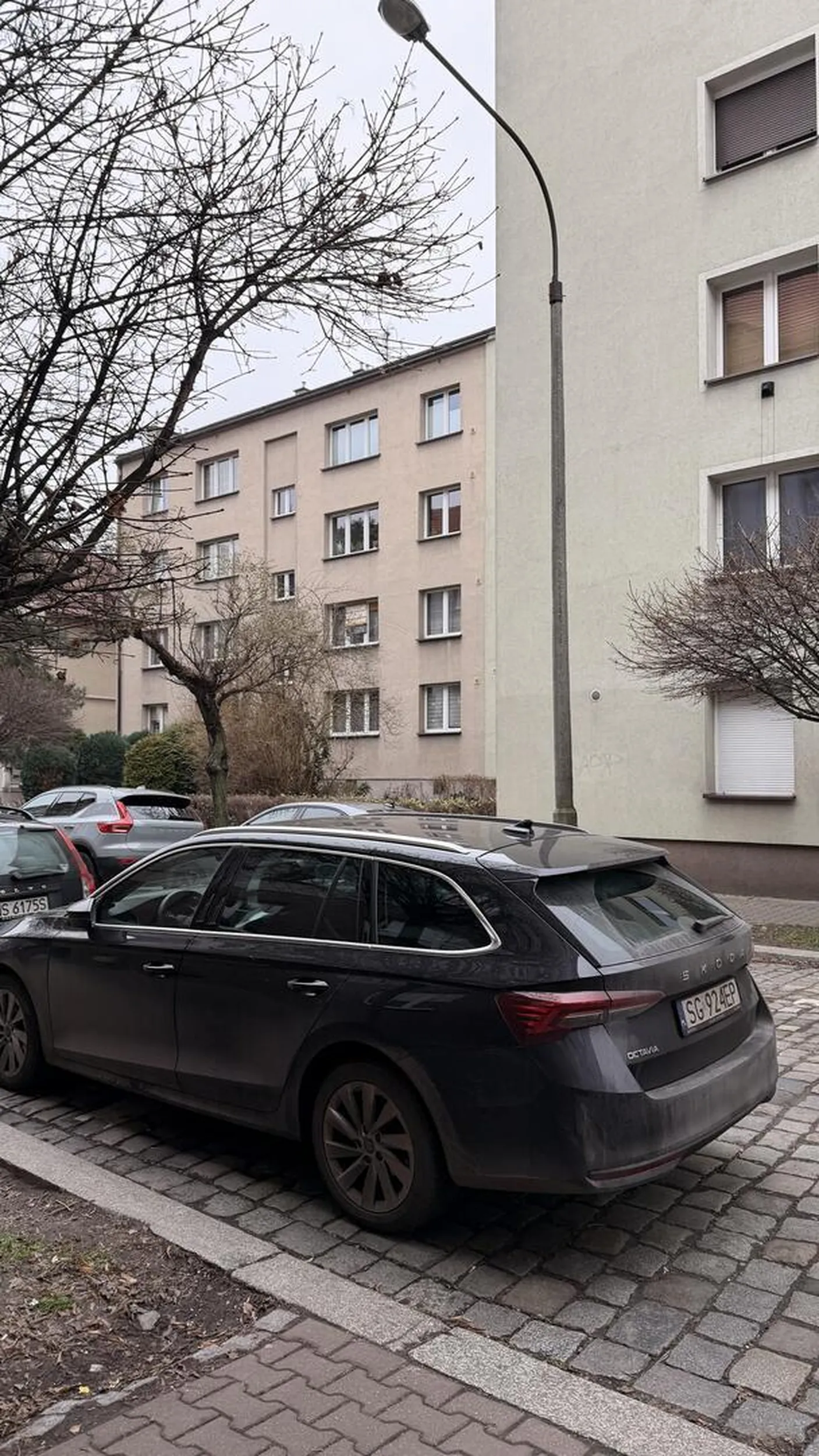 Zwykły najgorszy śmietnik, mój pies zaparkował by lepiej w wyznaczonych liniach. Prawo jazdy wygrane w chipsach gratuluje największego buractwa tego roku.