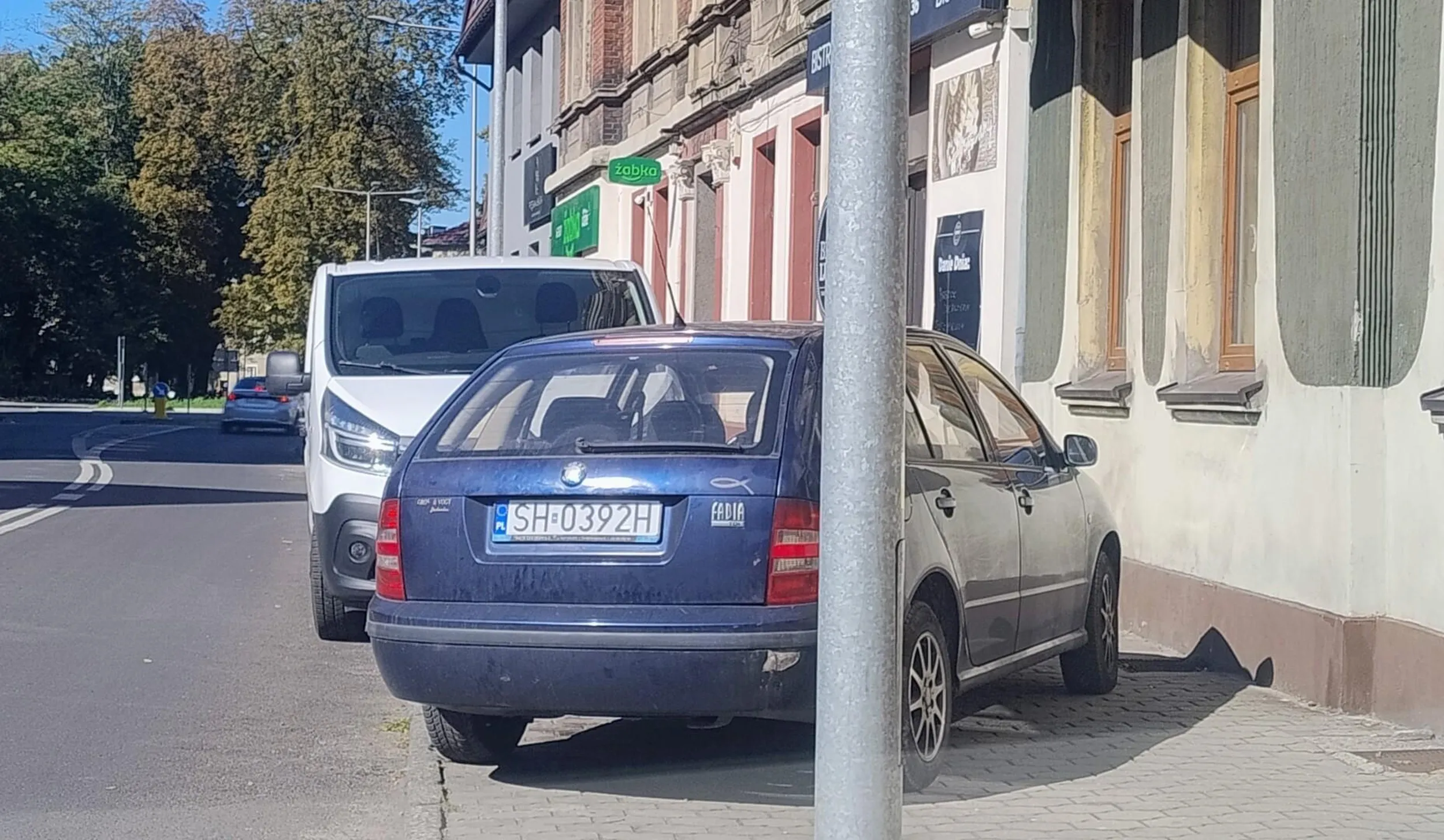 Jakaś miernota umysłowa nie potrafi parkować. Przed słupem w cholerę wolnego miejsca.