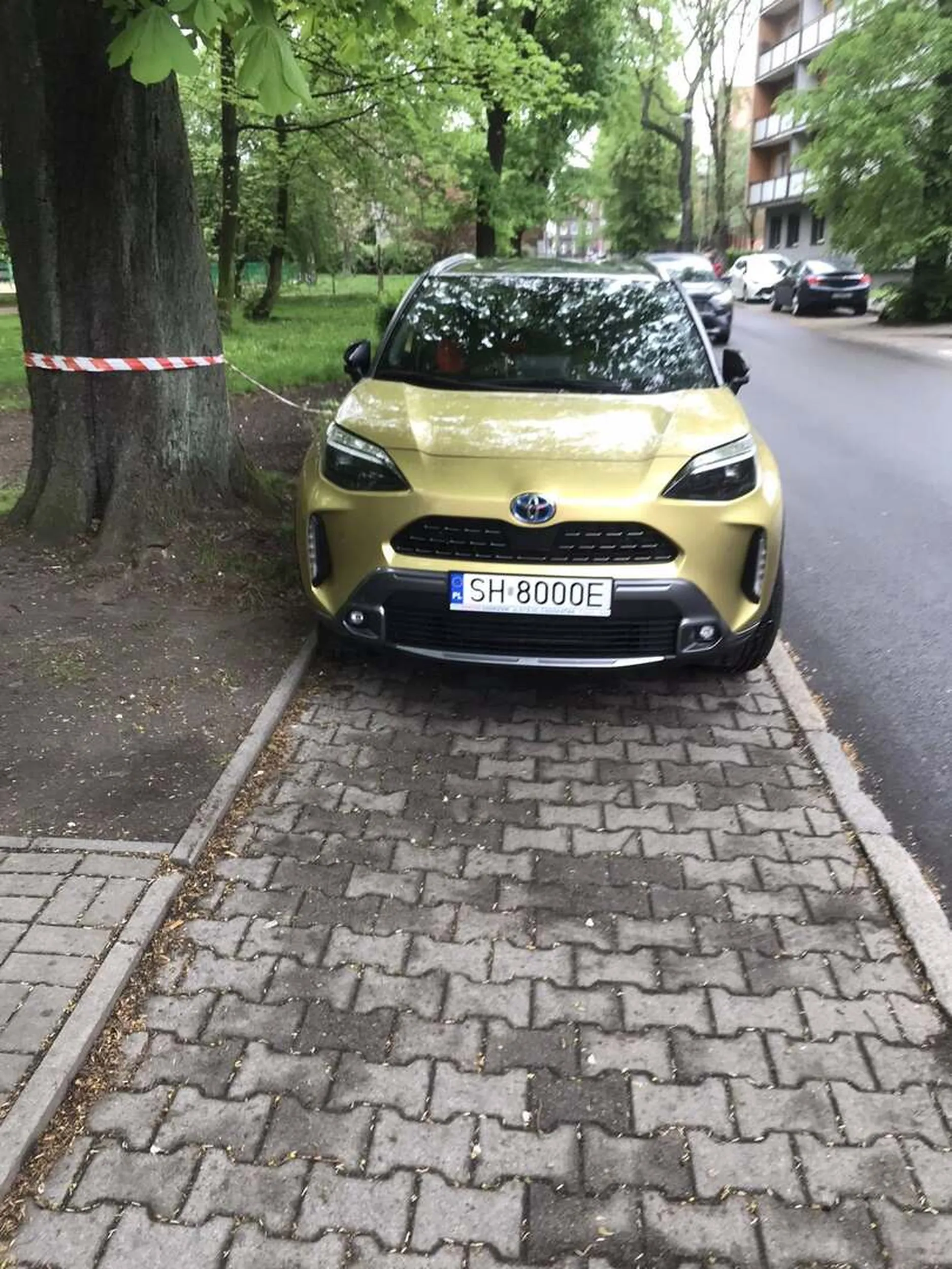 Facet znalazł prawko w czipsach