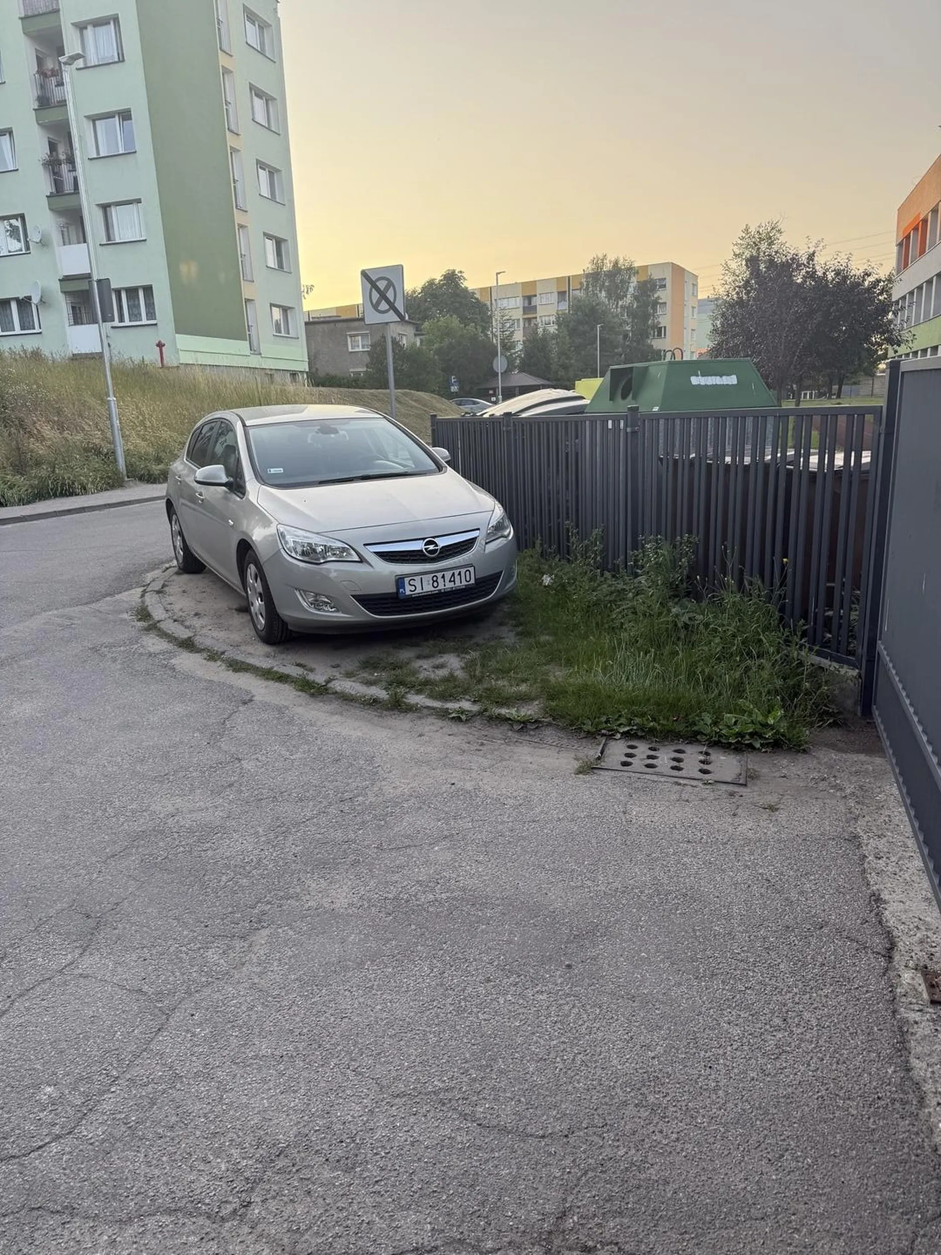 Notoryczne niszczenie zieleni