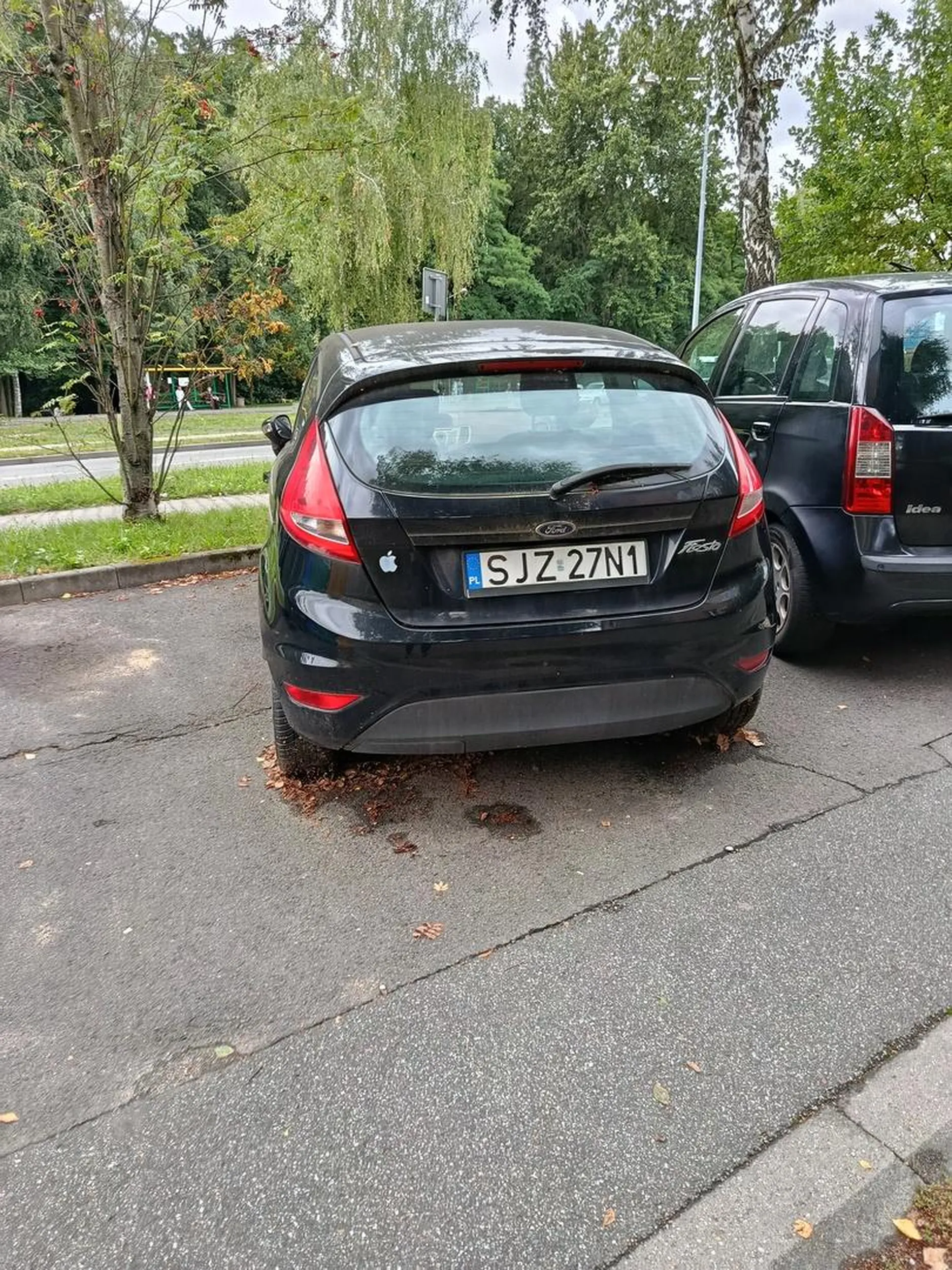 Ładna fiesta szkoda że mech ją obrasta.