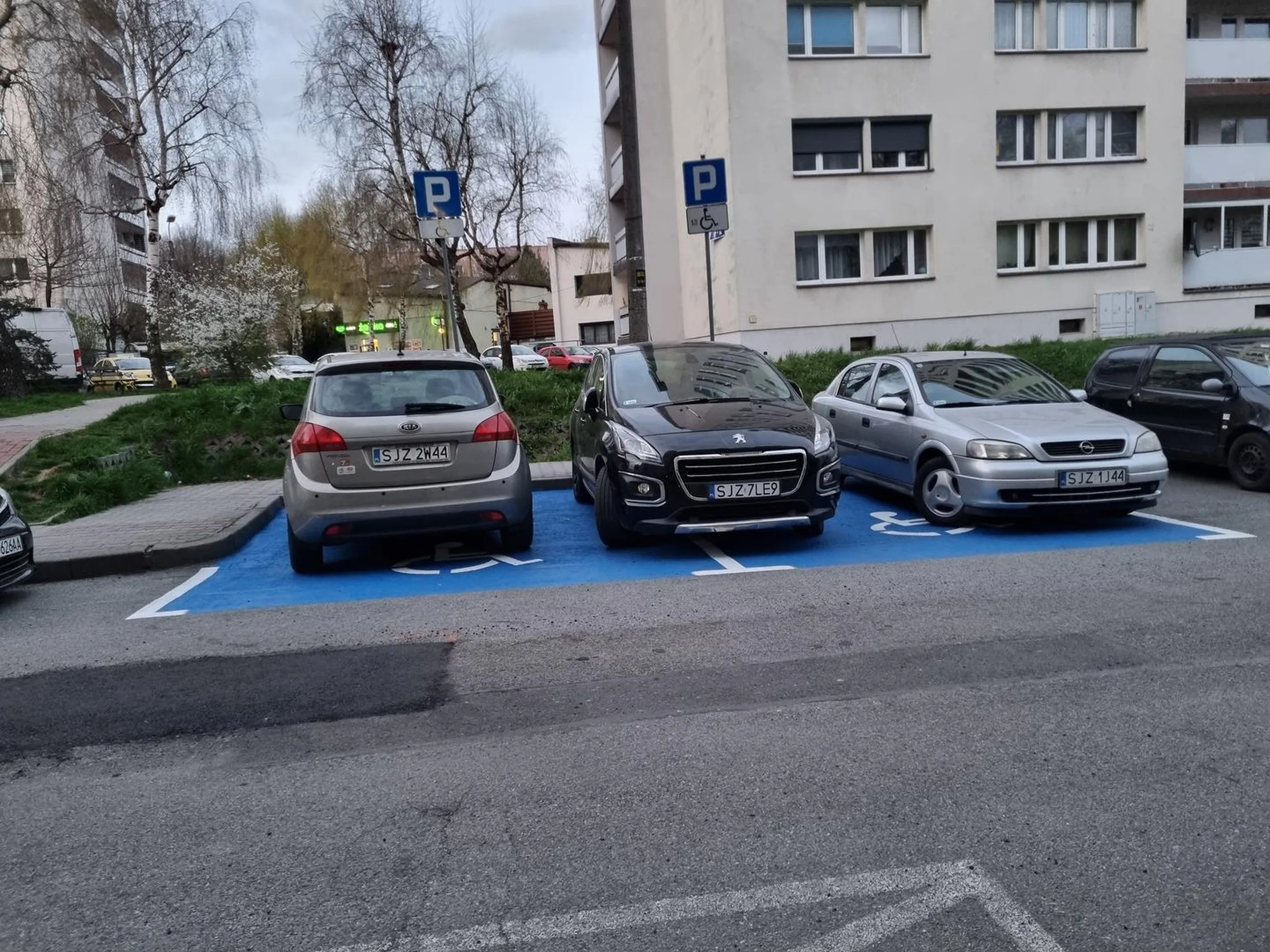 Gość chyba nie wie po co istnieją miejsca dla inwalidów