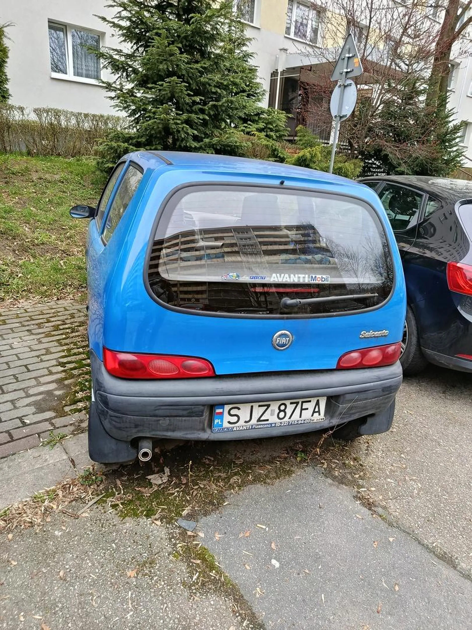 Kolejny wrost ktoś zna właściciela? J bie Wielkopolska.