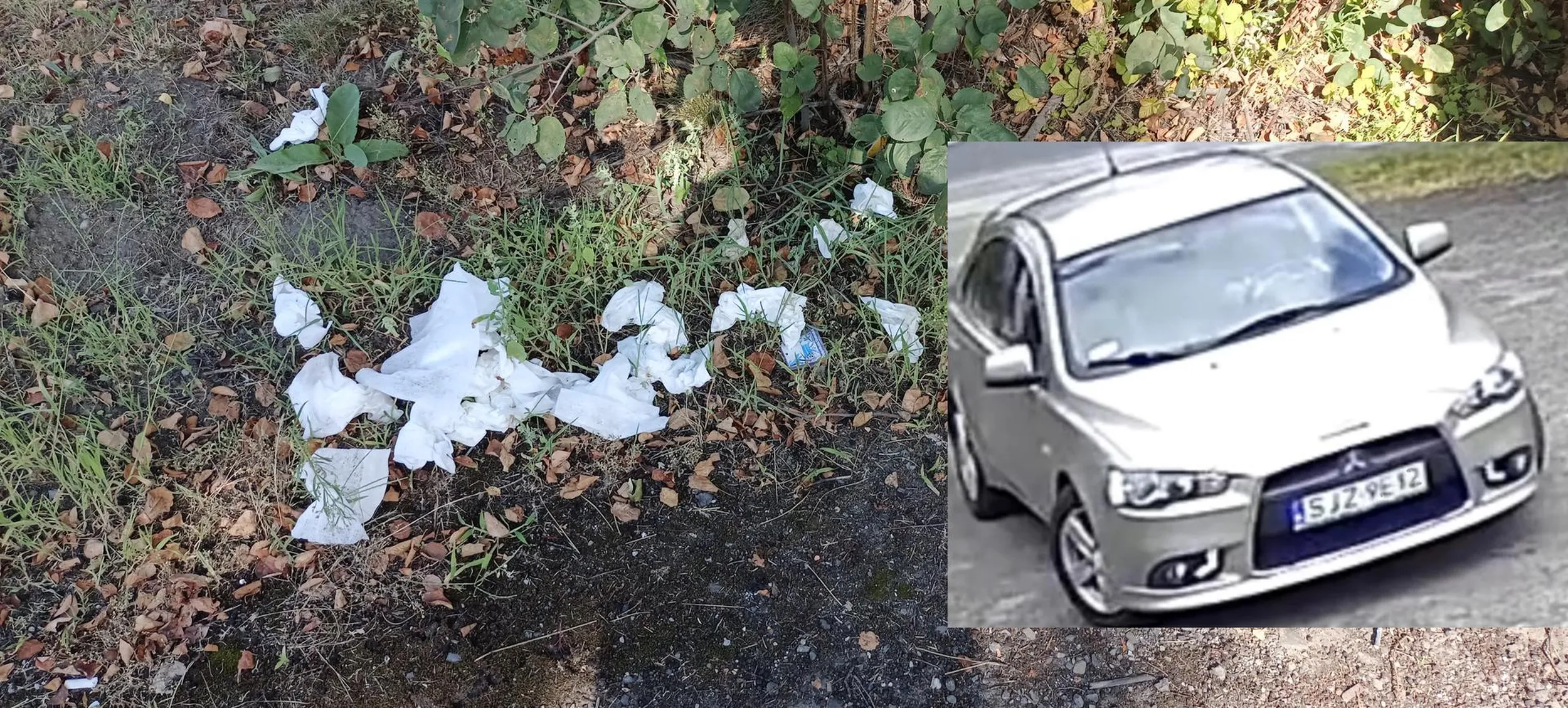 Nie pozdrawiam turystów z Jastrzębia Zdroju którzy wczoraj zatrzymali się na parkingu samochodem SJZ 9E12 i wyrzucili śmieci z samochodu na trawnik, a kosz był parę metrów dalej, jak przyjeżdżacie do nas to śmieci wyrzucajcie do śmietników, a nie na trawnik.