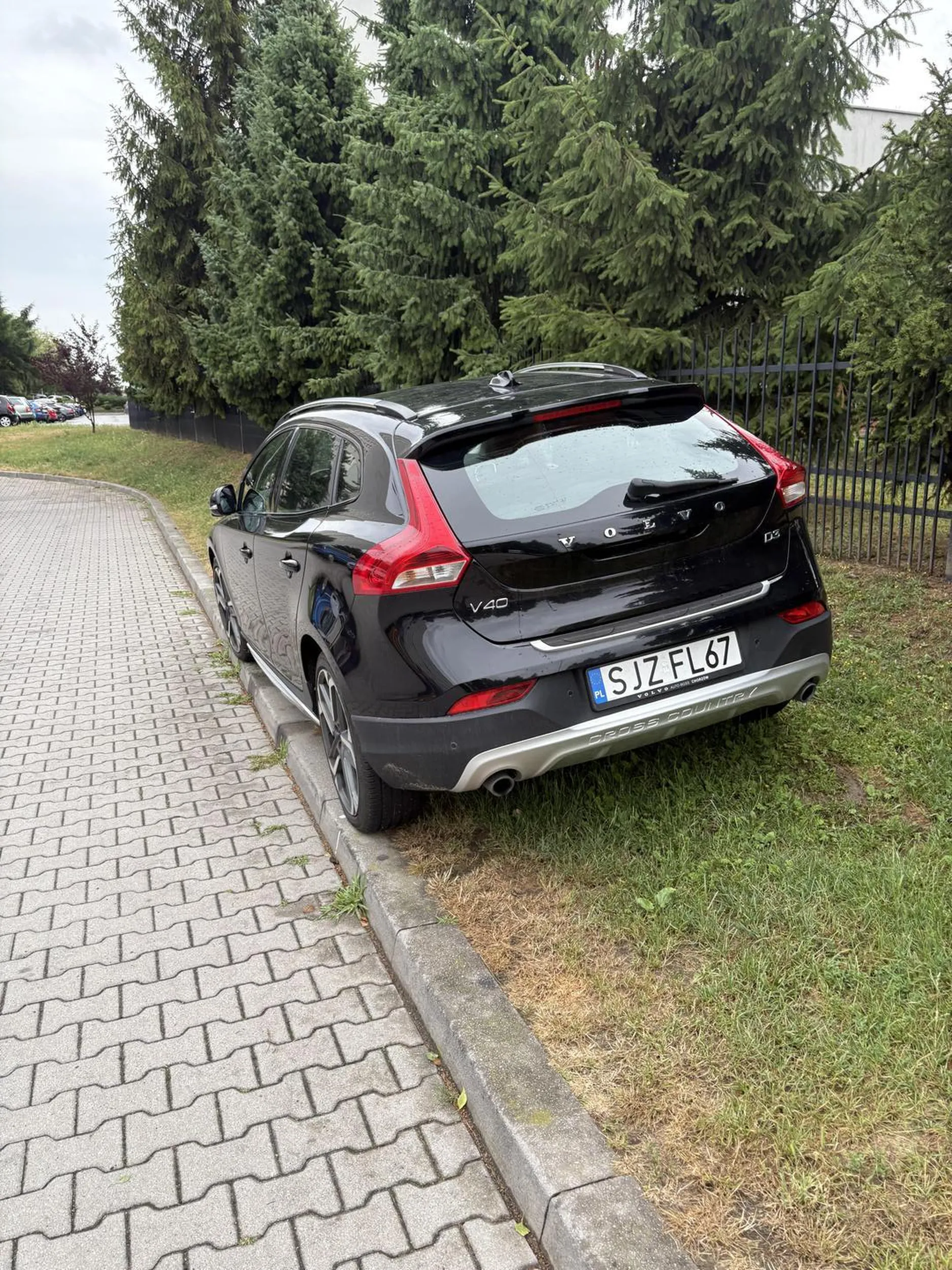 Imbecyl parkujący na trawnikach. Nic tylko odebrać prawo jazdy.