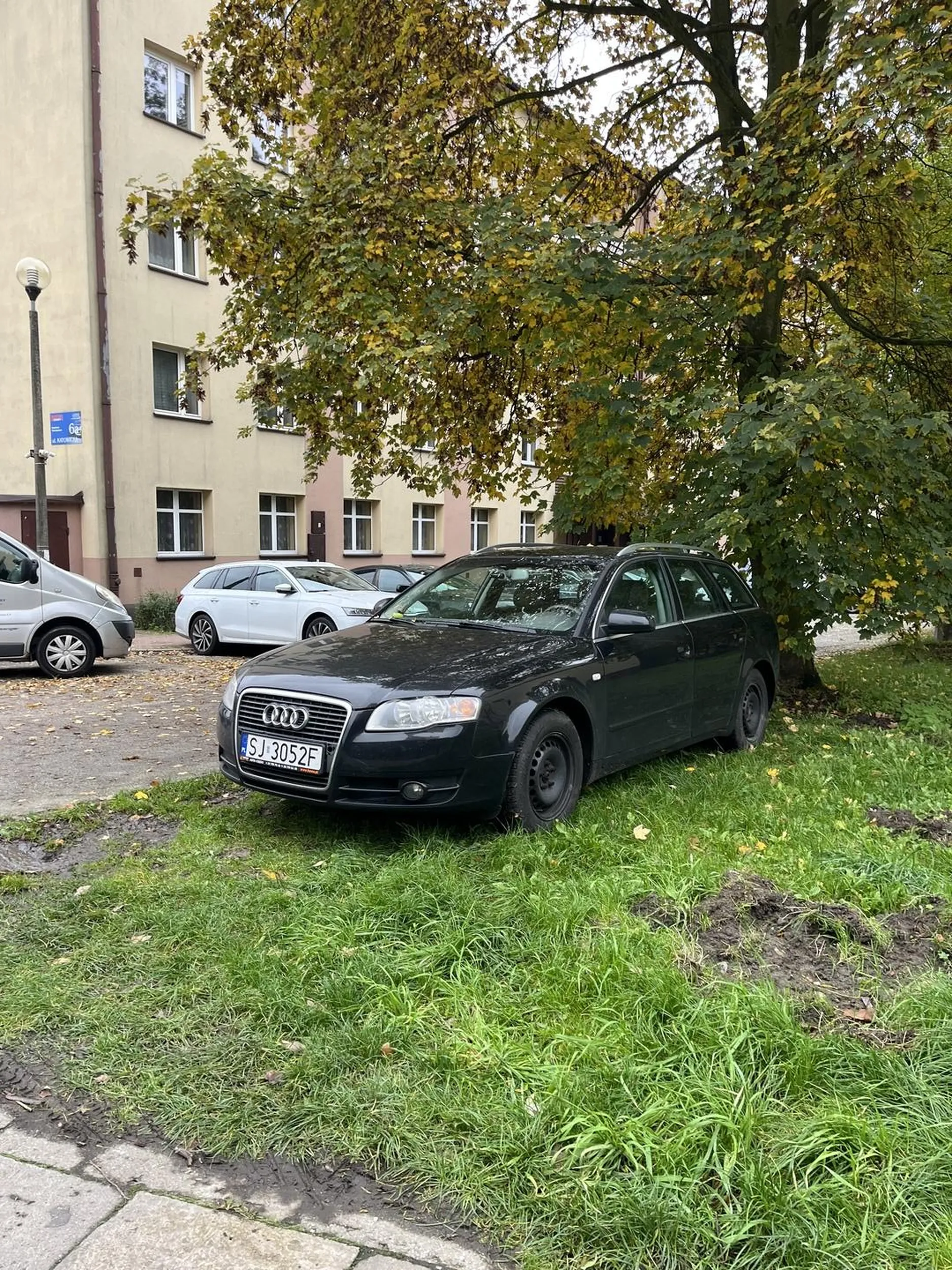 Szkoda zieleni obok było miejsce