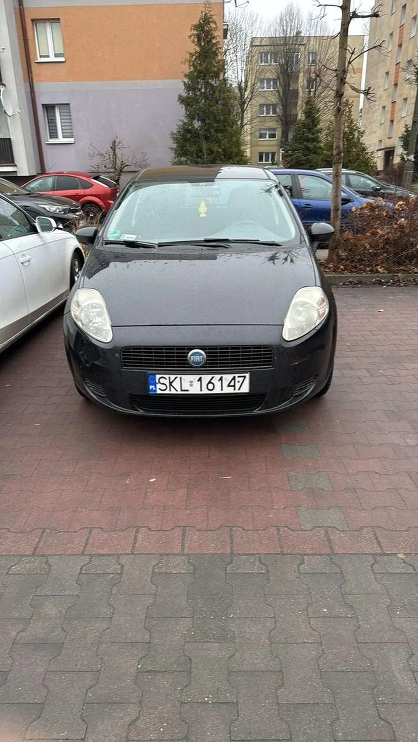 Krasnal jeździ punto na przelocie