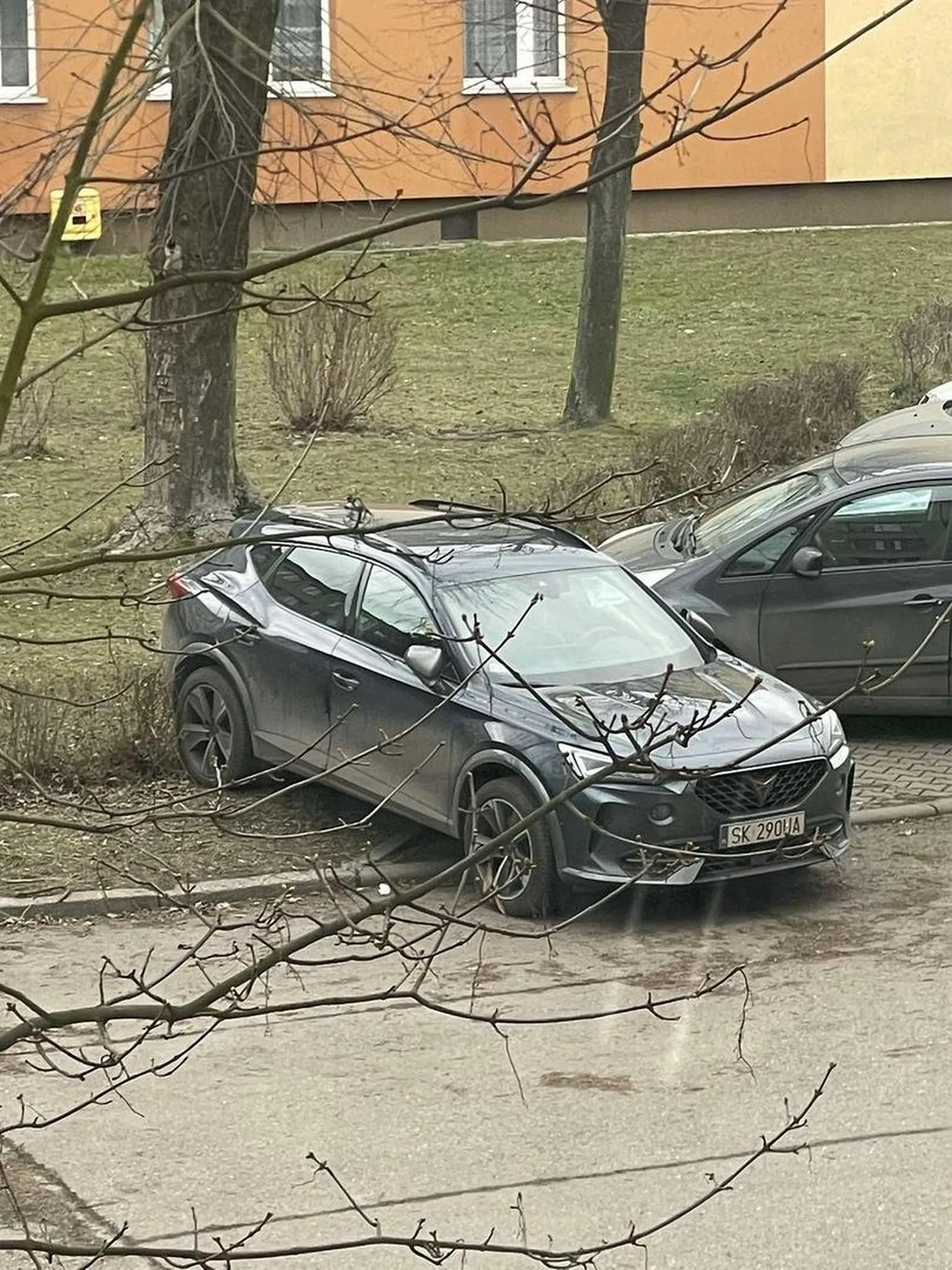 Karny kutas sie należy za ułomność przy parkowaniu