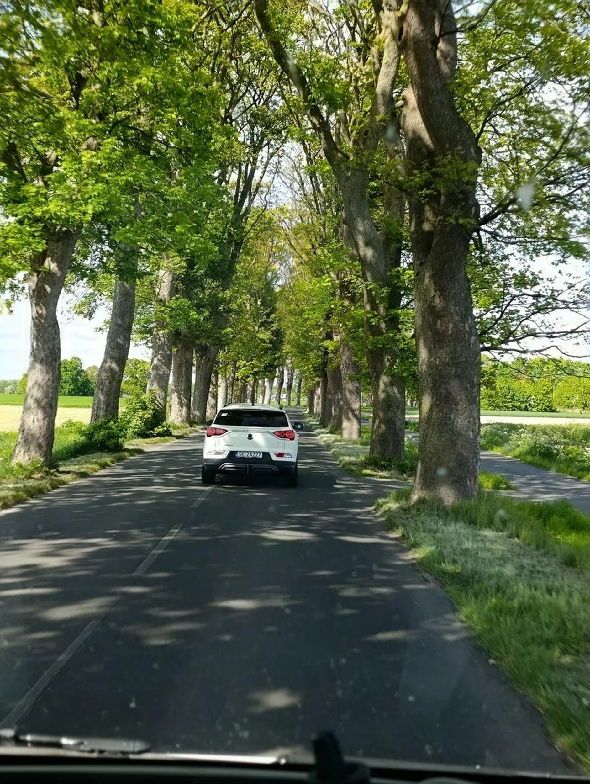 Nie polecam ludzie muszą mu zjeżdżać na drzewa bo jedzie taki panicz z Katowic