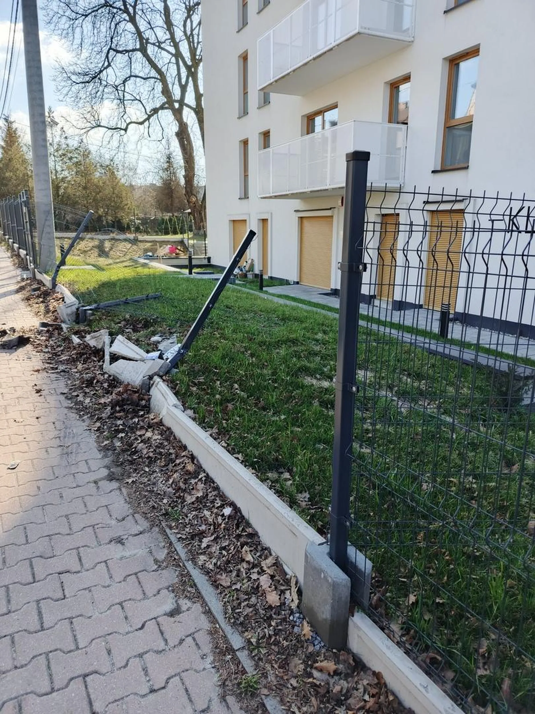 Coś ty płot rozwalił chłopie i blachy zostawiłeś?