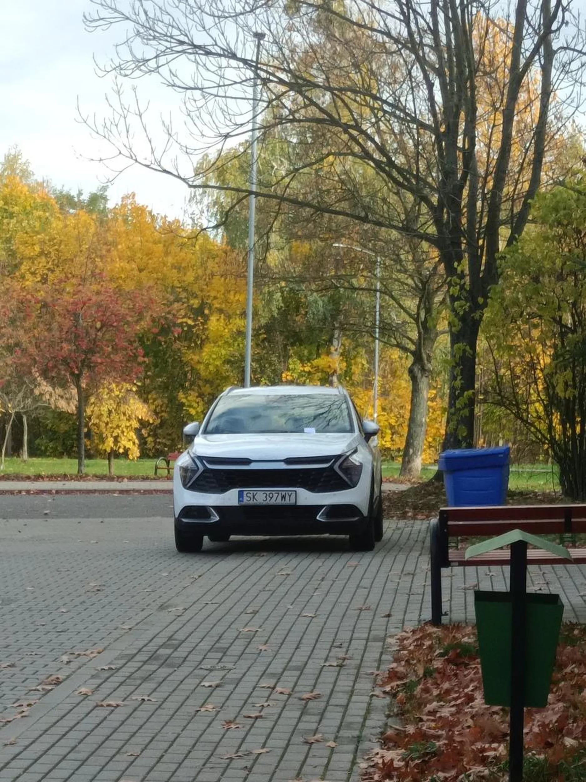 Przestań stawać na chodniku, obok masz parking