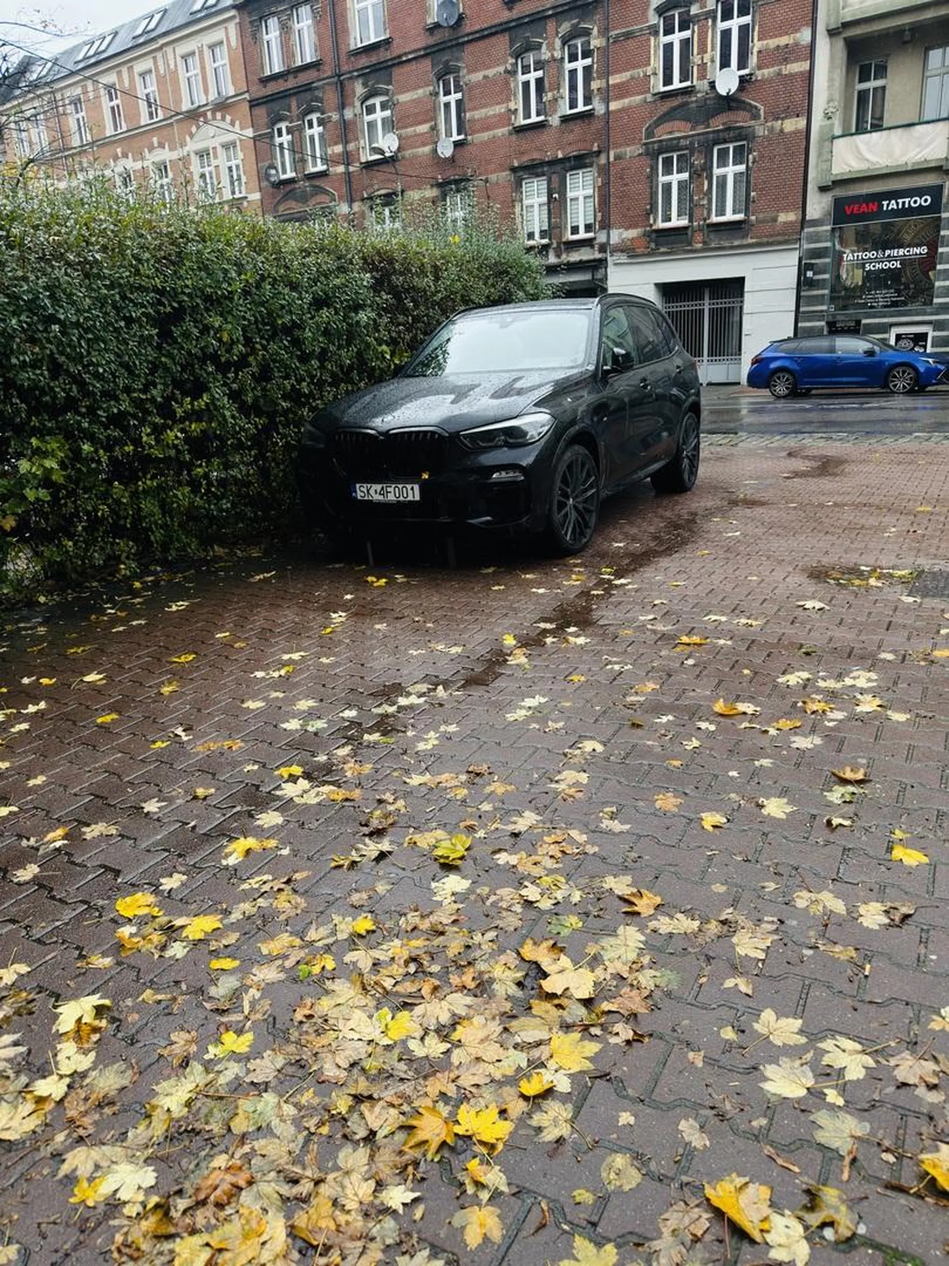 Sobie wjechał całym pojazdem na chodnik jakby się za krzakami ukrywał i sobie tak stał dosyć długo, jakby wyjeżdżał to by nie zauważył czy ktoś idzie, geniusz w beemce