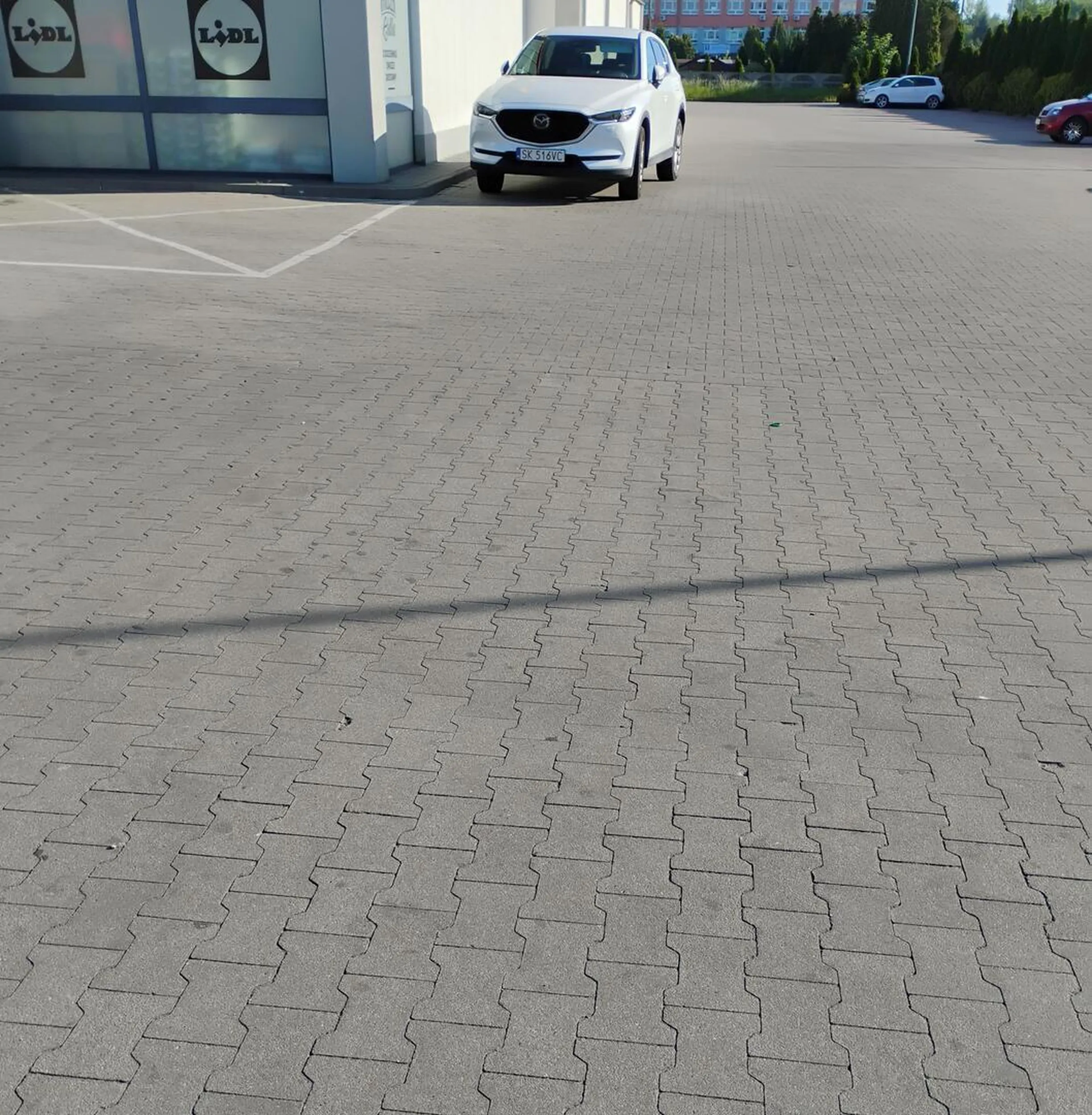 Na parkingu pełno wolnych miejsc, a baran stoi na drodze