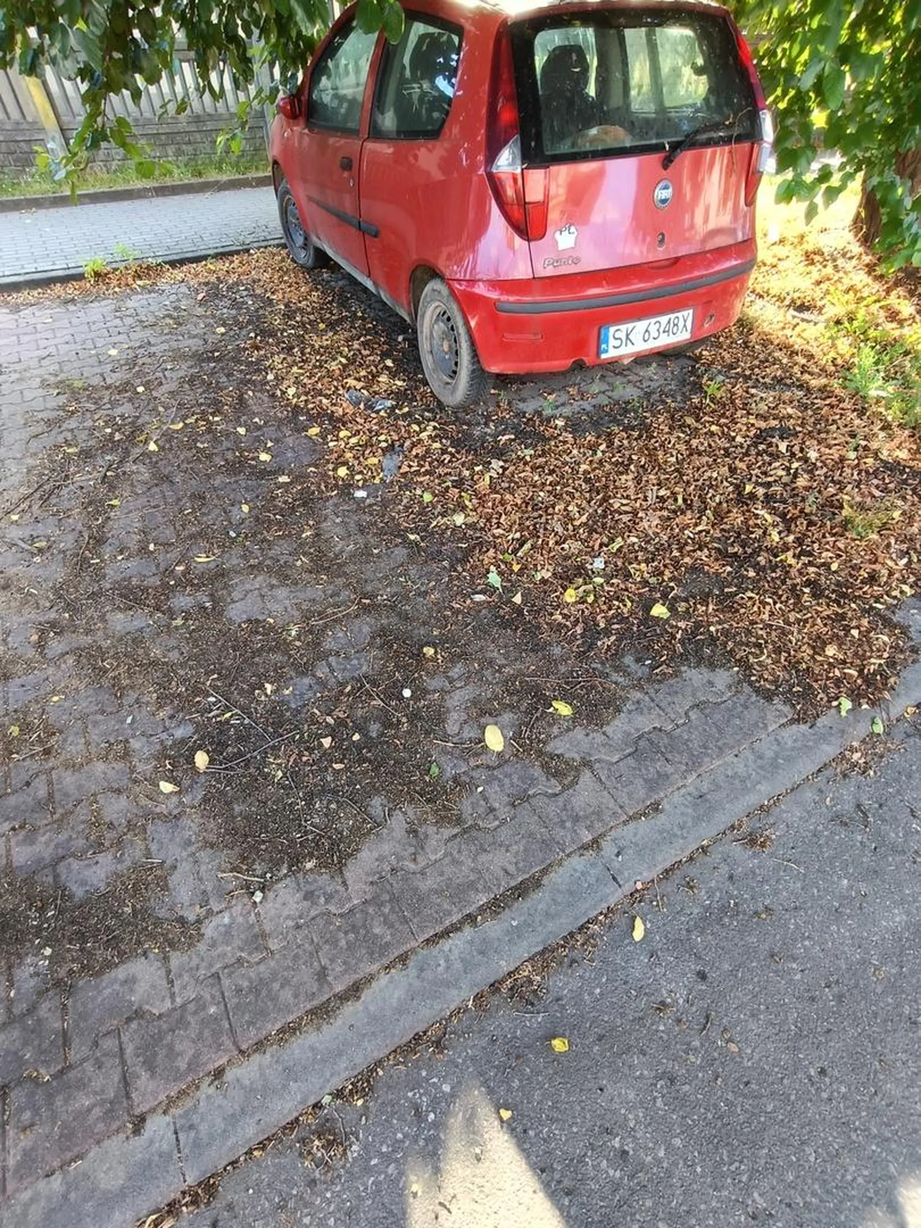Wrósł w ziemię, przedniej tablicy brak. Ciekawe czy tylna legalna czy nie...