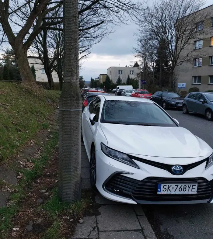 Blokowanie chodnika bezmyślnym parkowaniem