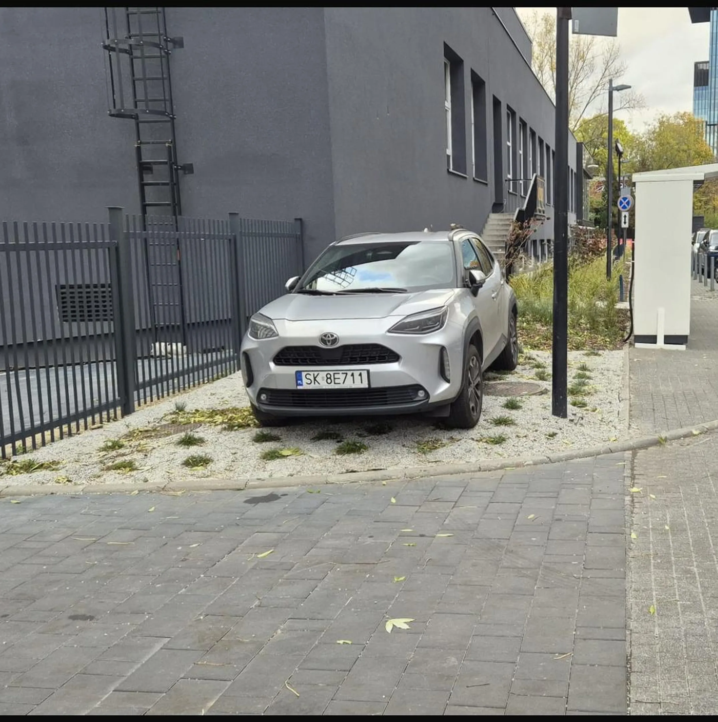 Dupku żołędny naucz się parkować… czyste chamstwo parkować na nowo zasadzonych kwiatkach. WSTYD