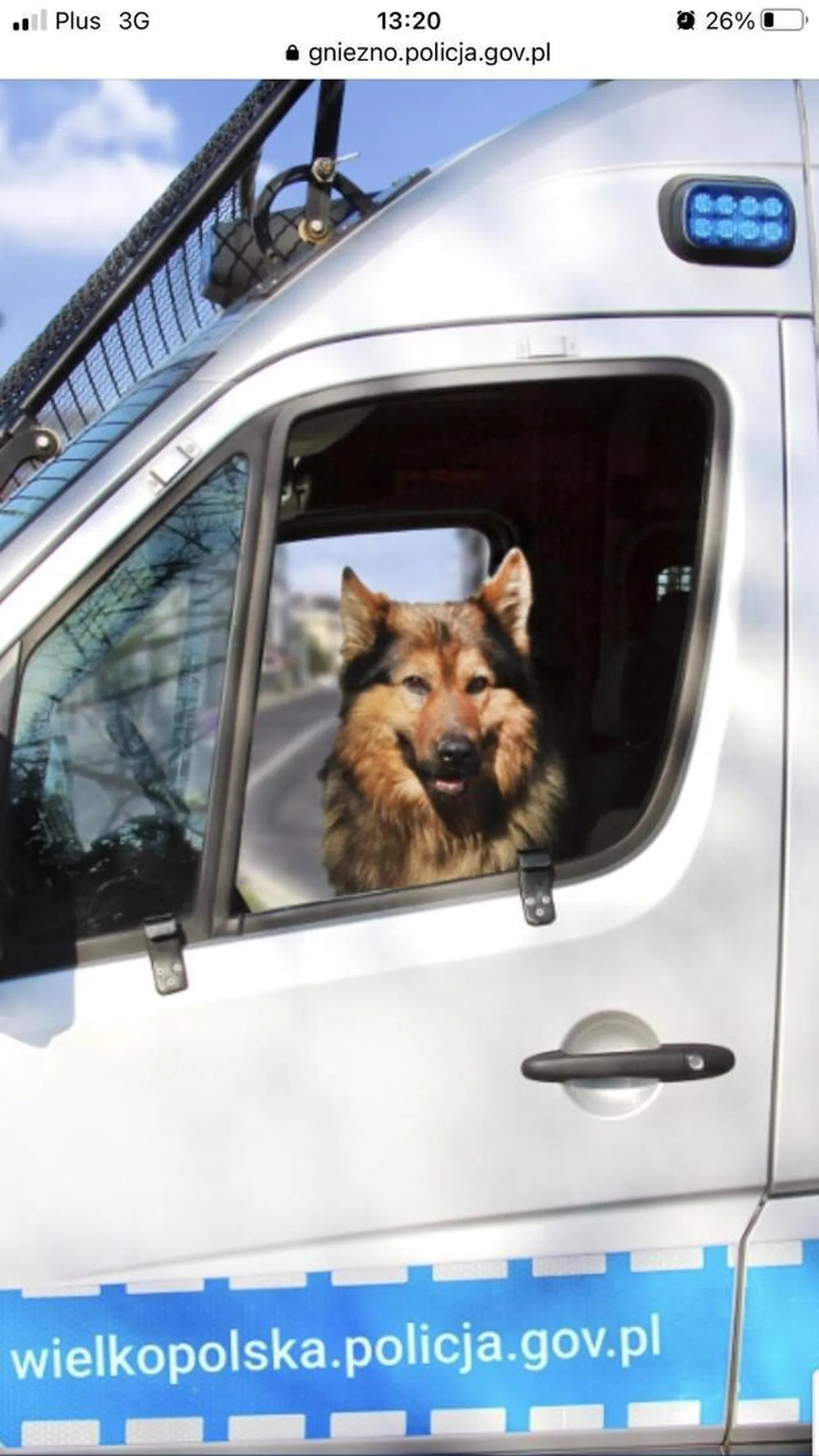 Kierowca narusza prawo na DK11 na trasie Wieluń-Tarnowskie Góry. Porusza się jak Szeryf w czarnym Audi A7 nr rej. SK 975SE. Pomiary w m terenie zabudowanym średnio 87-93 km/h, w terenie niezabudowanym 112-118 km/h. Stwarza niebezpieczeństwo na drodze zjeżdżając przed auto po wyprzedzenie i gwałtownie hamując. Wypada jedynie zgłosić na Komendę