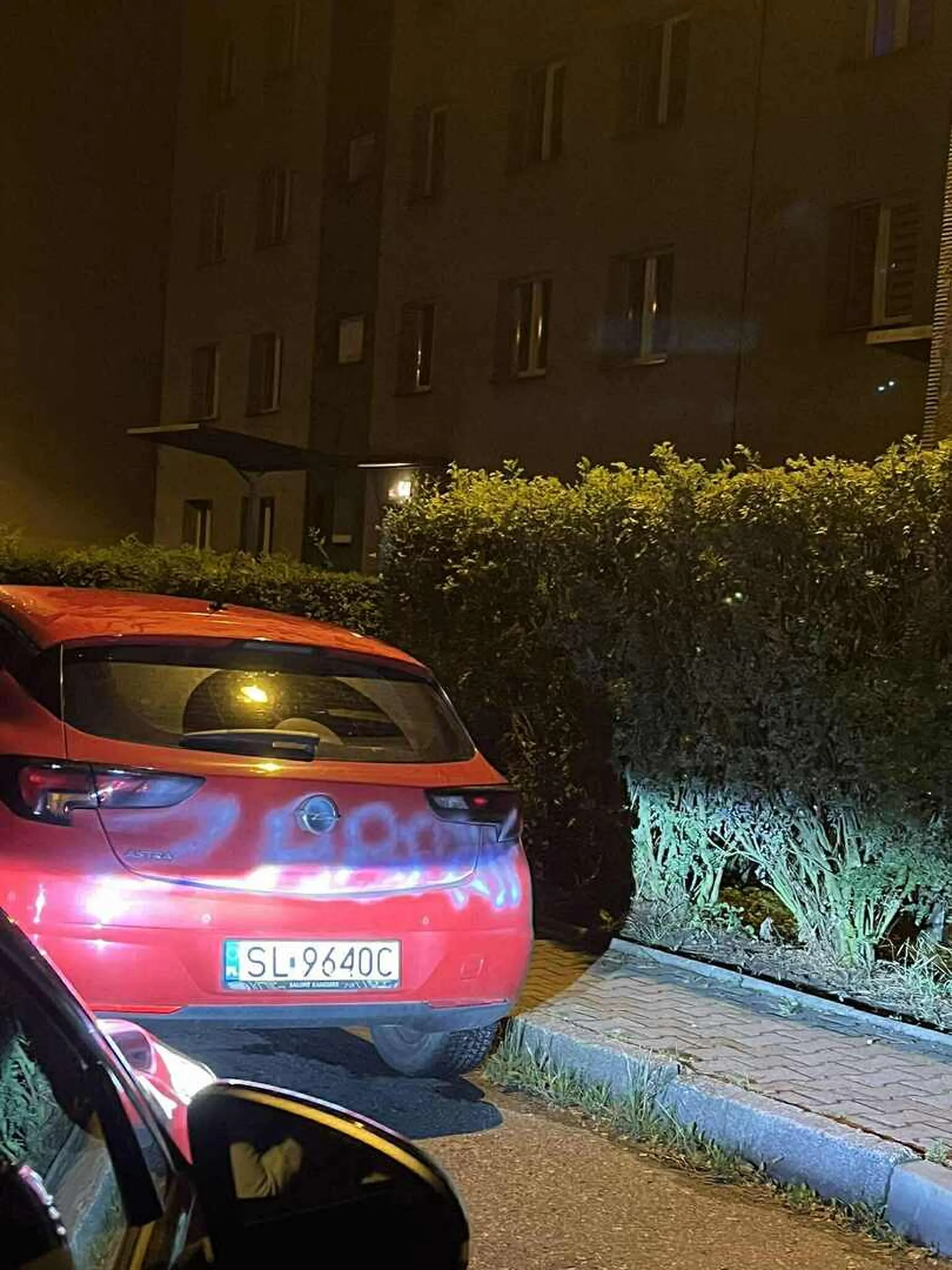 chyba masz lekkie problemy