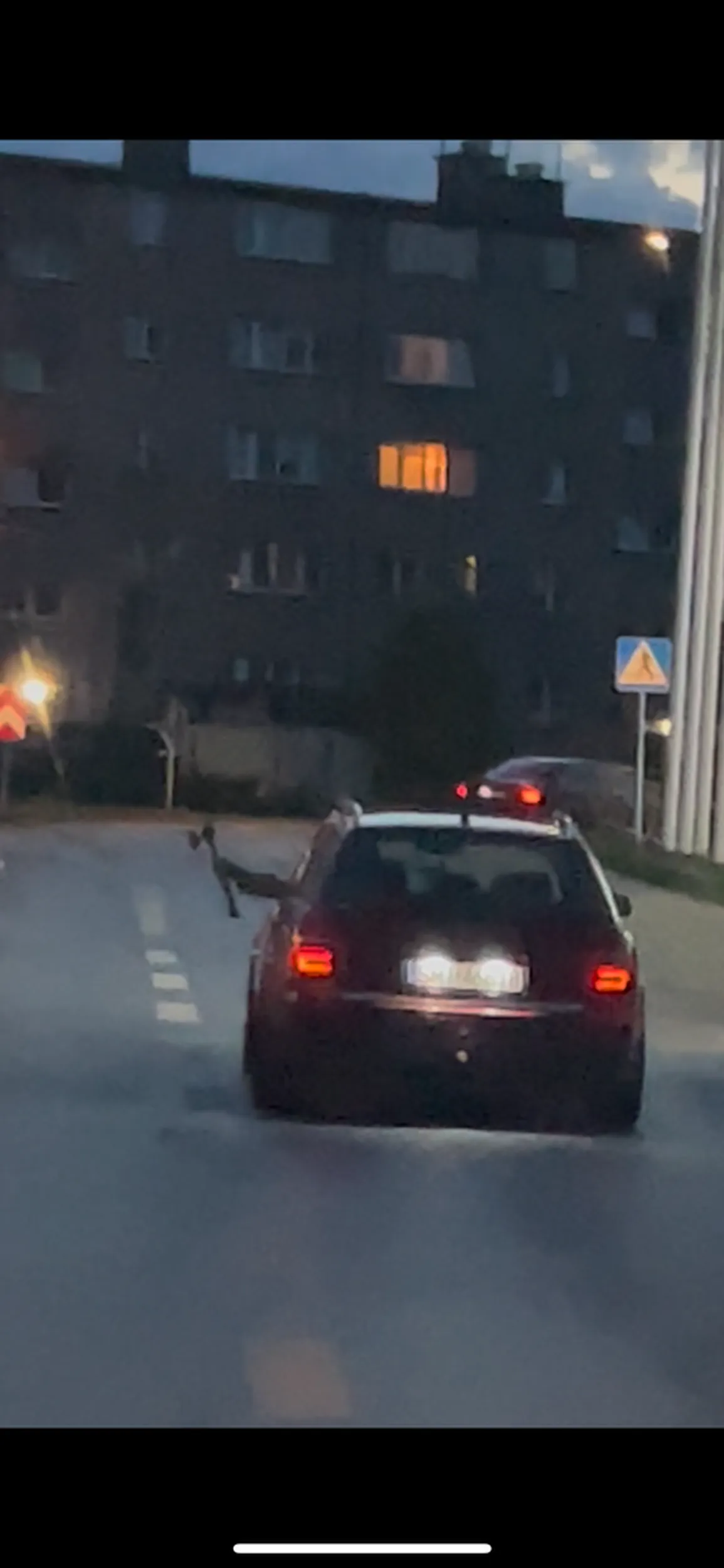 Nie pozdrawiam kierowcy. wychamowywał nasz i groził siekierą. śledził nas kilkanaście minut, i to najlepsze że bez żadnego powodu