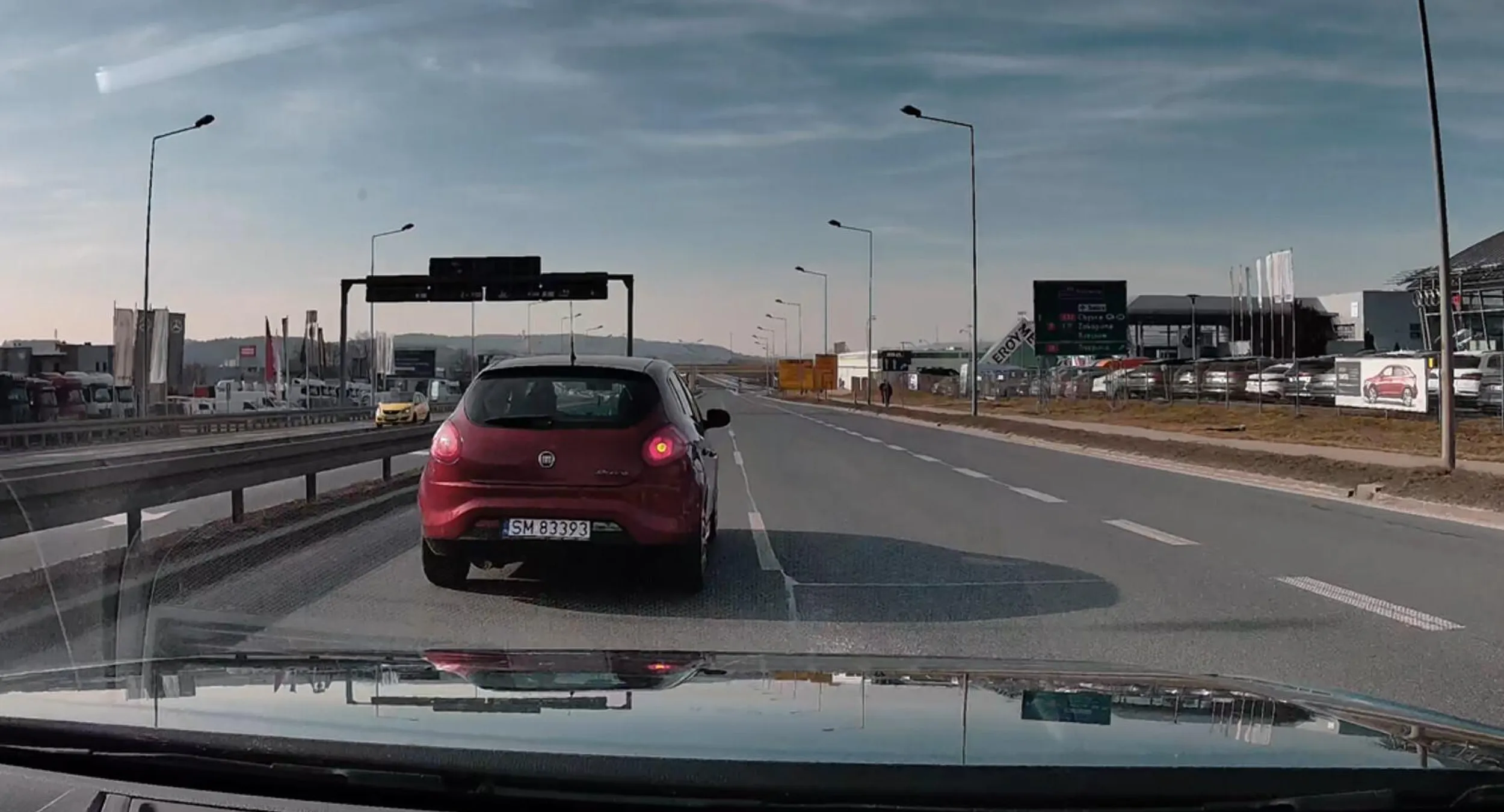 gamoń przyklejony do lewego pasa