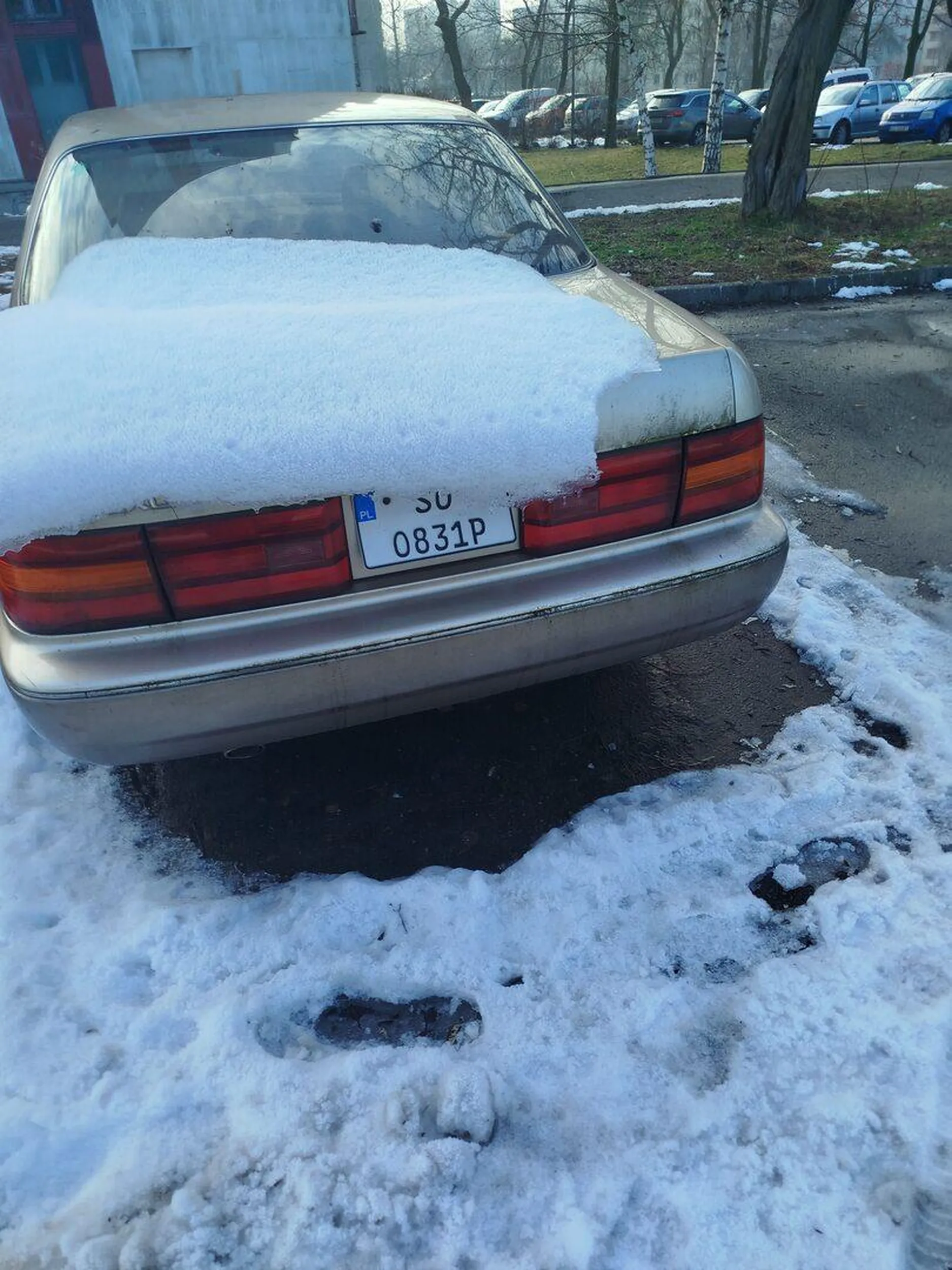 South Park -  tablice oryginalne :-)