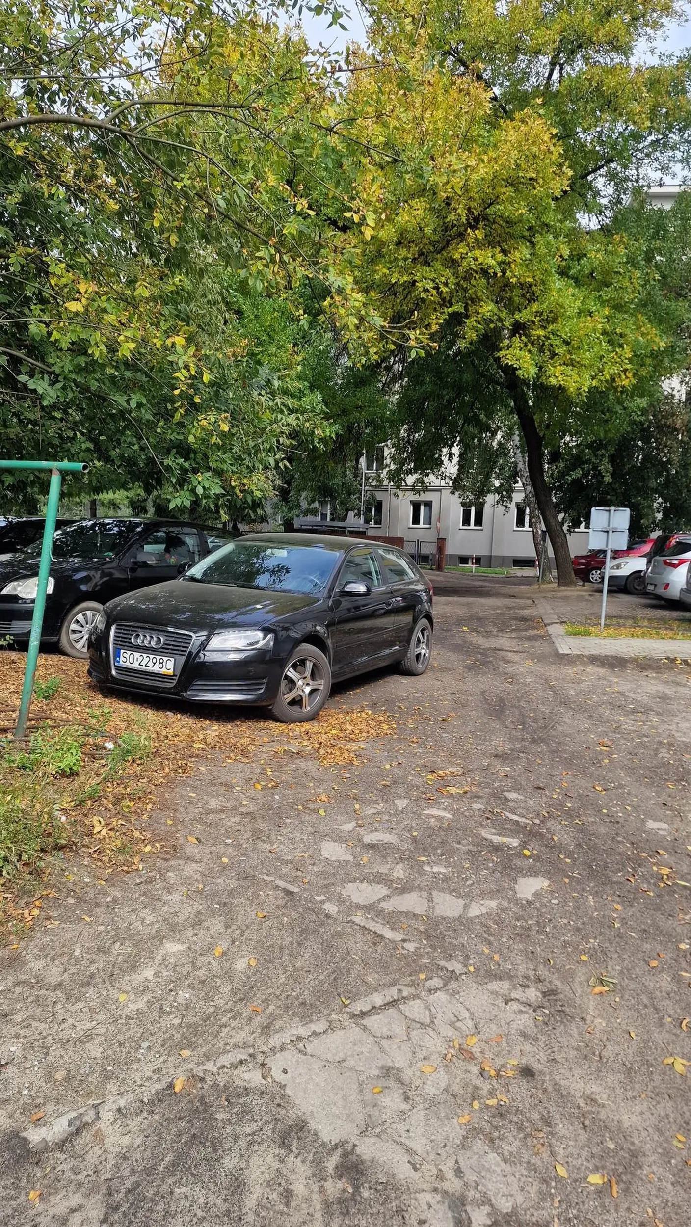 Kierowca nie potrafi parkować