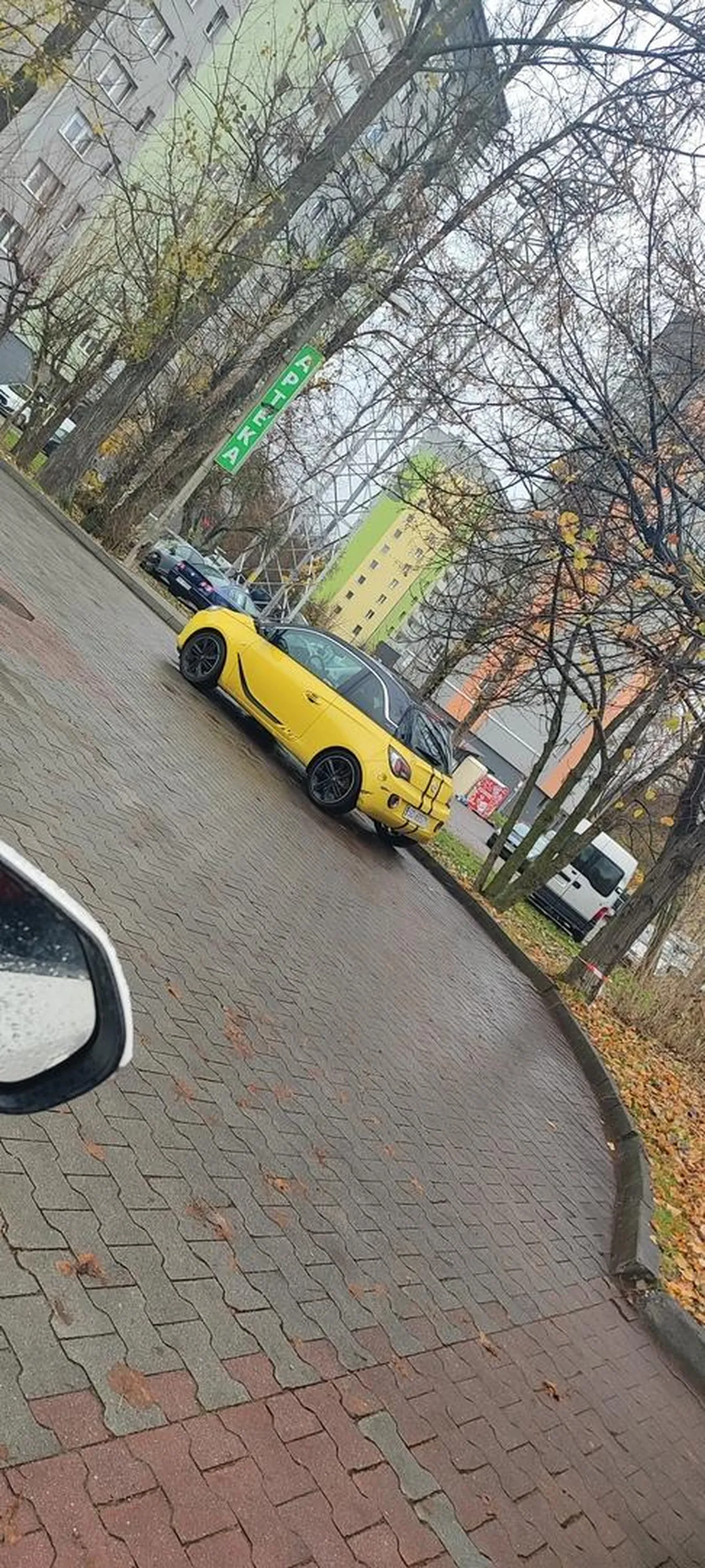 Przykład Wysokiem inteligencji u kobiety, zaparkować na przejeździe bo dama musi iść do biedronki