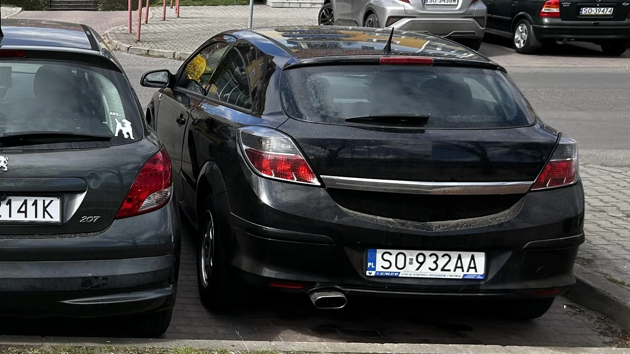 Będziesz mył to auto i naucz się najpierw parkować. Zdjęcia zrobione.