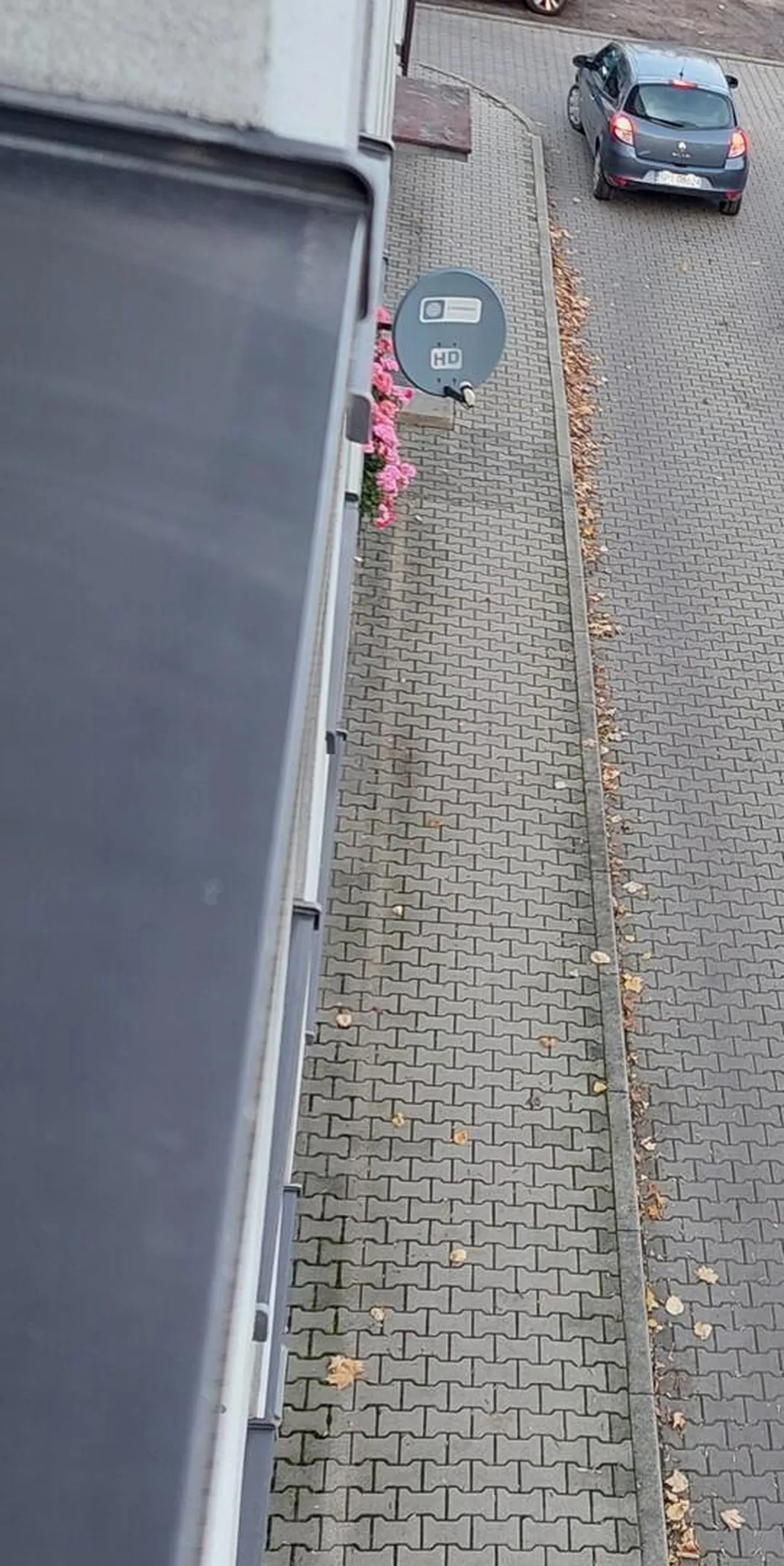 Jakim prawem cwwweeluu przejeżdżasz przez moj teren z 6 znakami zakazu min wjazdu i poroluszania się k...a w obydwu kierunkach!!! Wypad z mojego terenu!