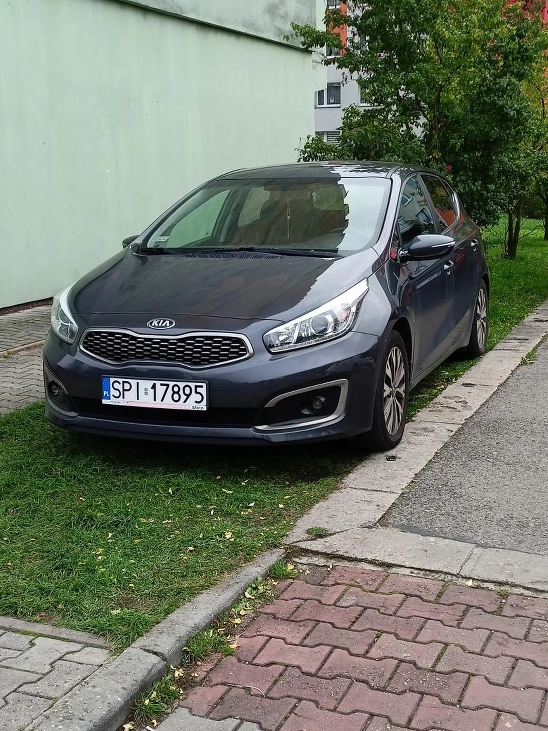 Osoba z KIA zaparkowała na pasu zieleni