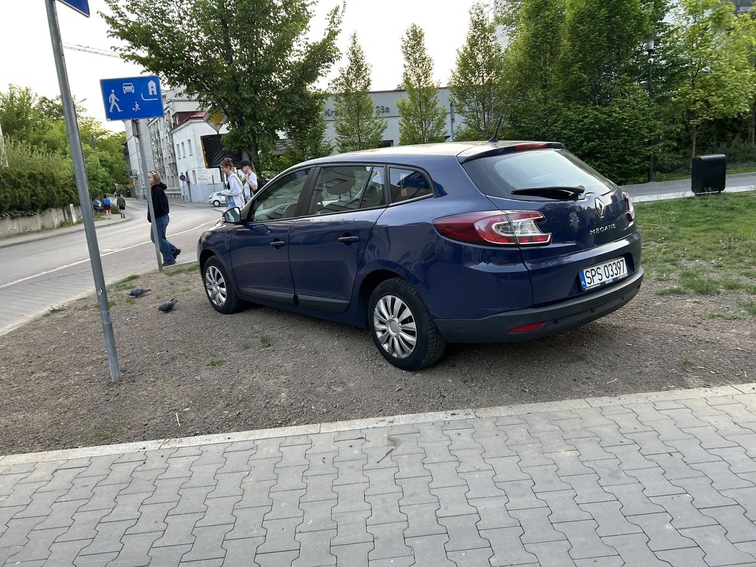 Tu na swiezo posadzonej trawie