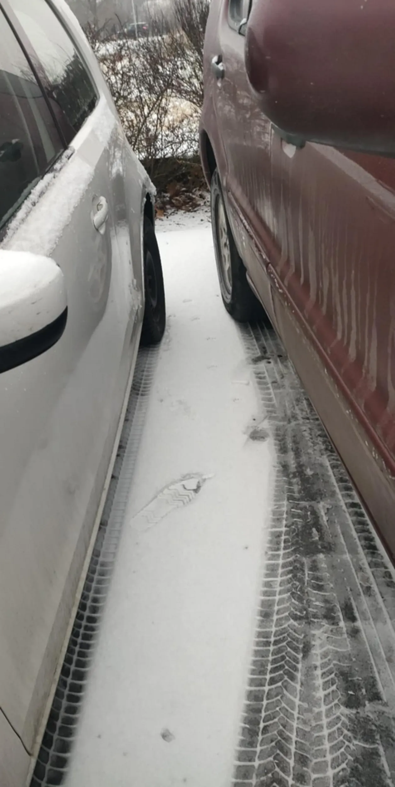 Naucz się parkować głąbie.