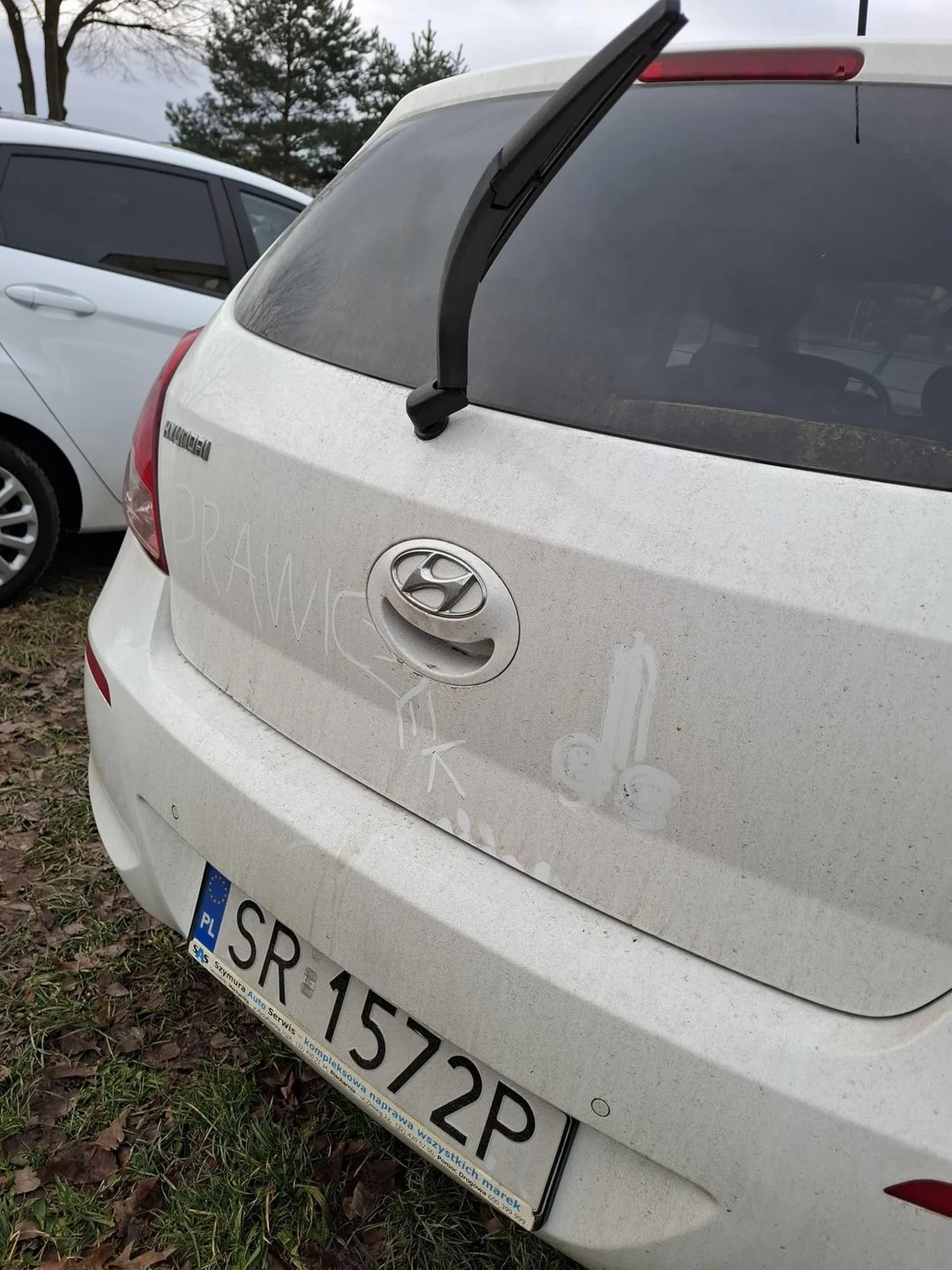 Podobno prawiczek ale winkle bierze jak twoją matke