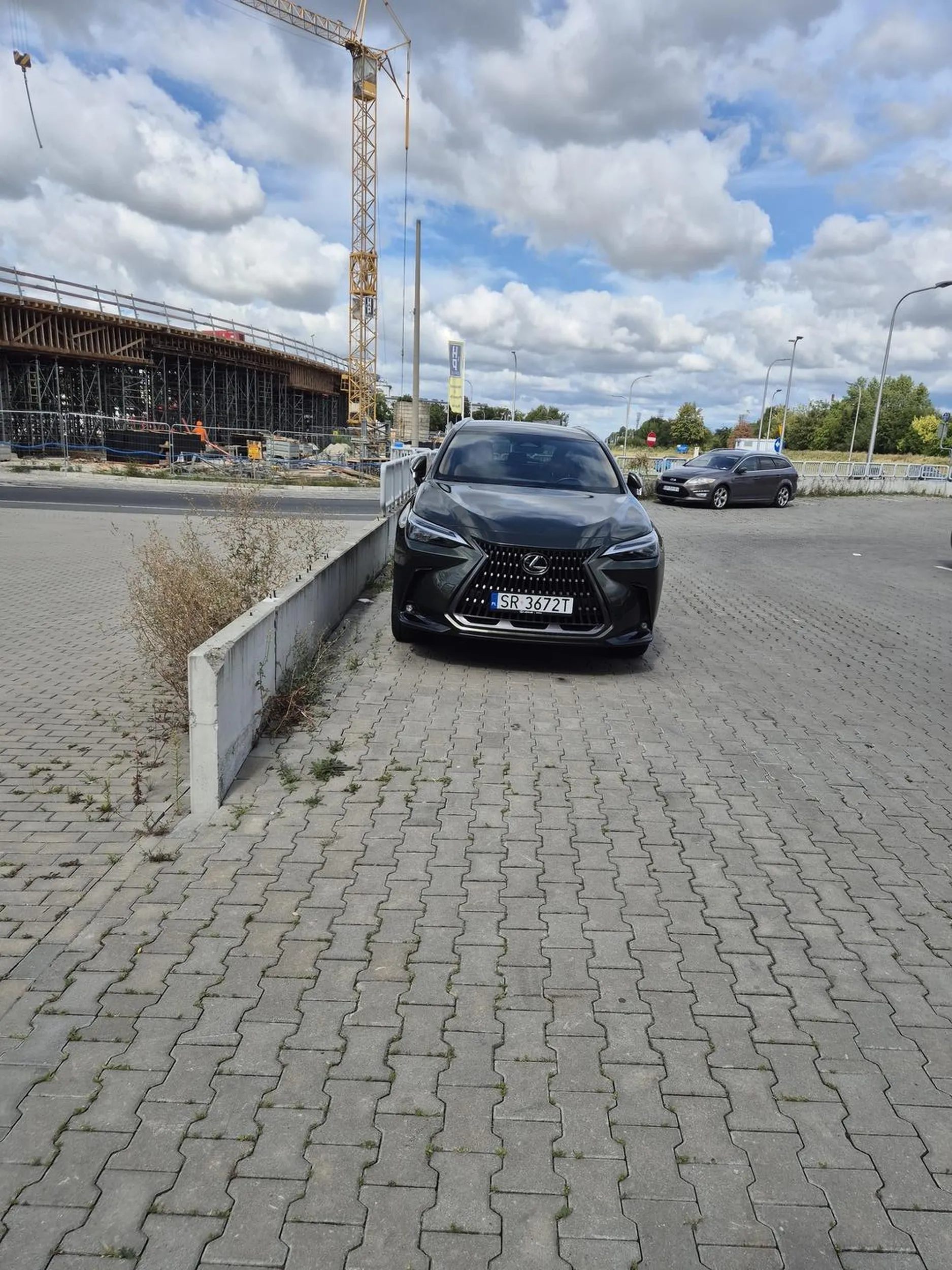 Wstyd, wszyscy parkuja w.miejscach wyznaczonych do tego, kupuja bilety w parkometrze, ale ten jeden placek zawsze się wyłamie... wracaj do siebie na ślonsk
