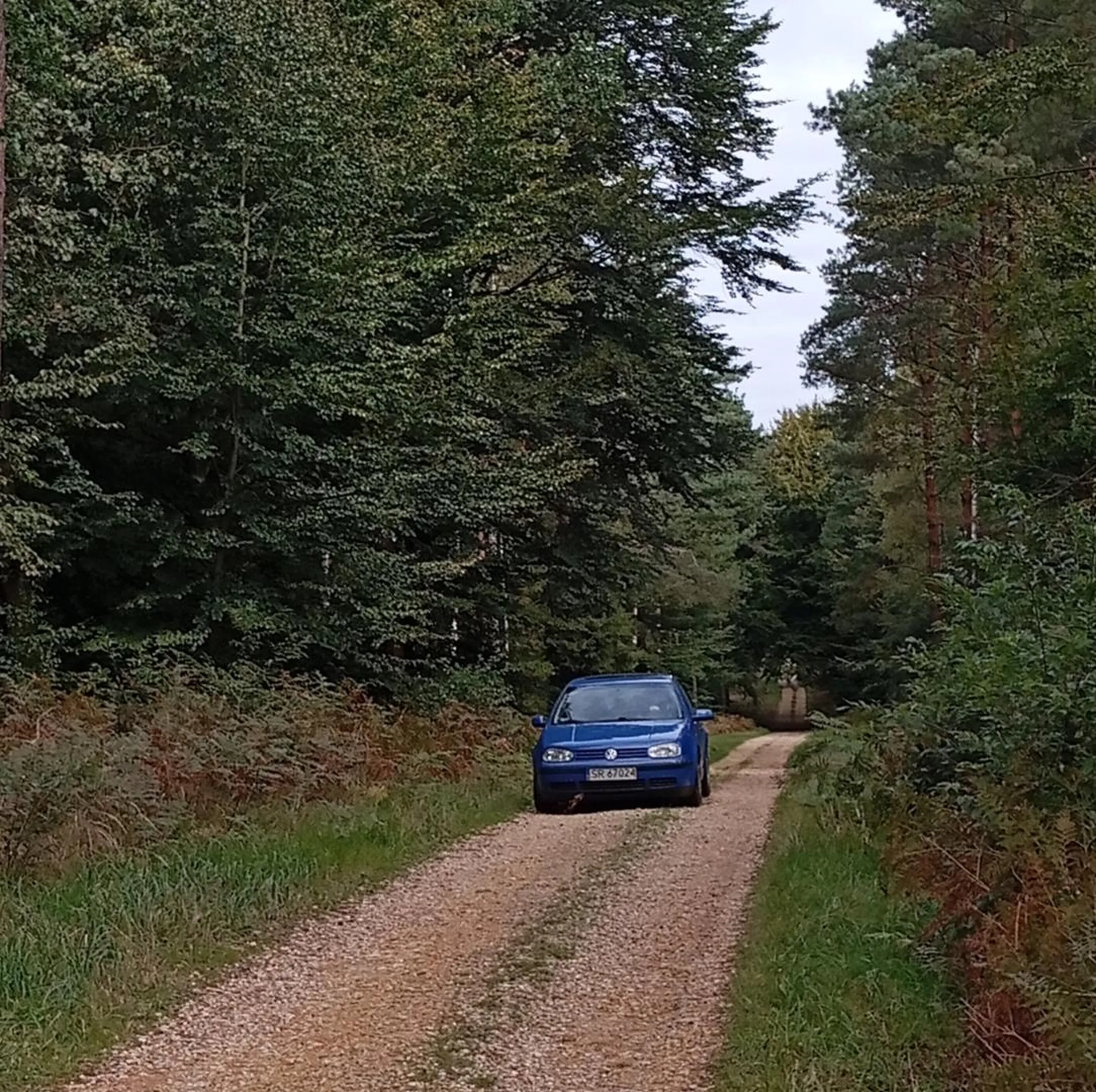 Nie dość że bez świateł to jeszcze na drodze leśnej z zakazem ruchu, patrz na znaki jełopie